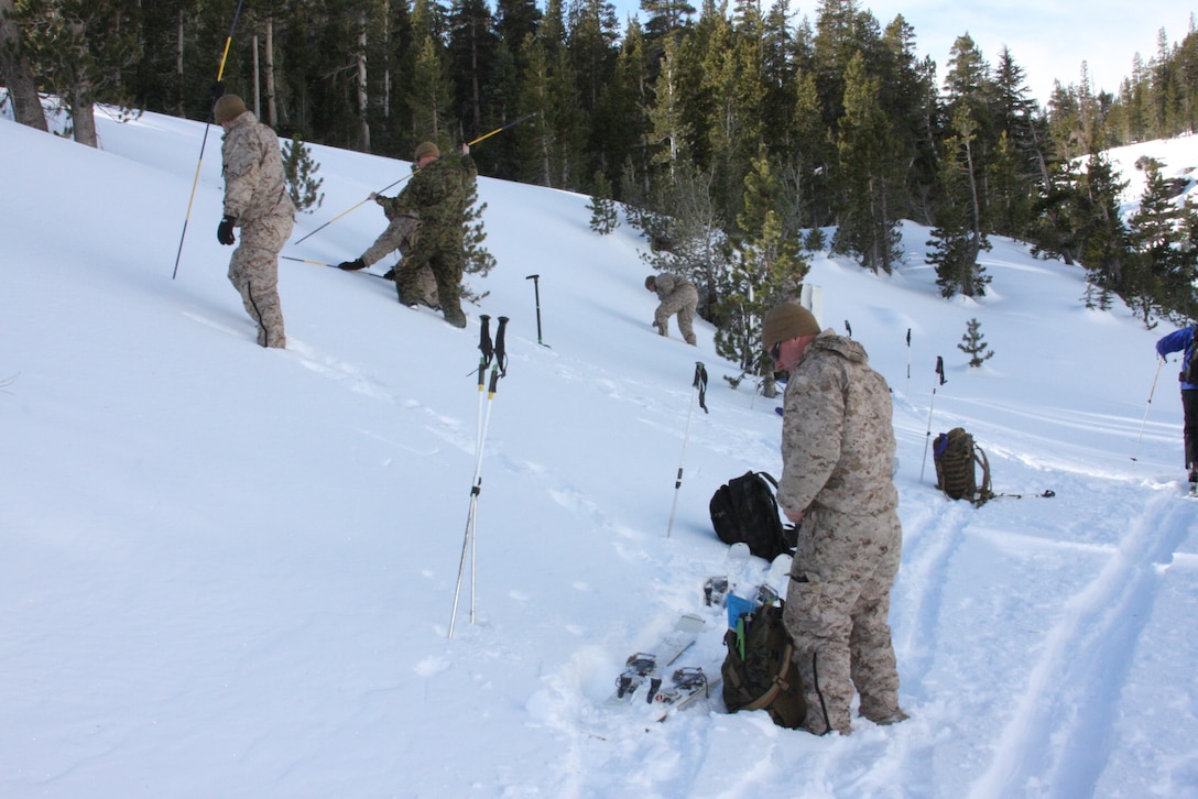 Marine Corps Formal School instructors of the Marine Corps Mountain Warfare Training Center, Bridgeport, Calif., use an untouched slope of snow off their ski path to test for tell-tale signs of potential avalanche occurrence at the Leavitt Lake training area Jan 9.