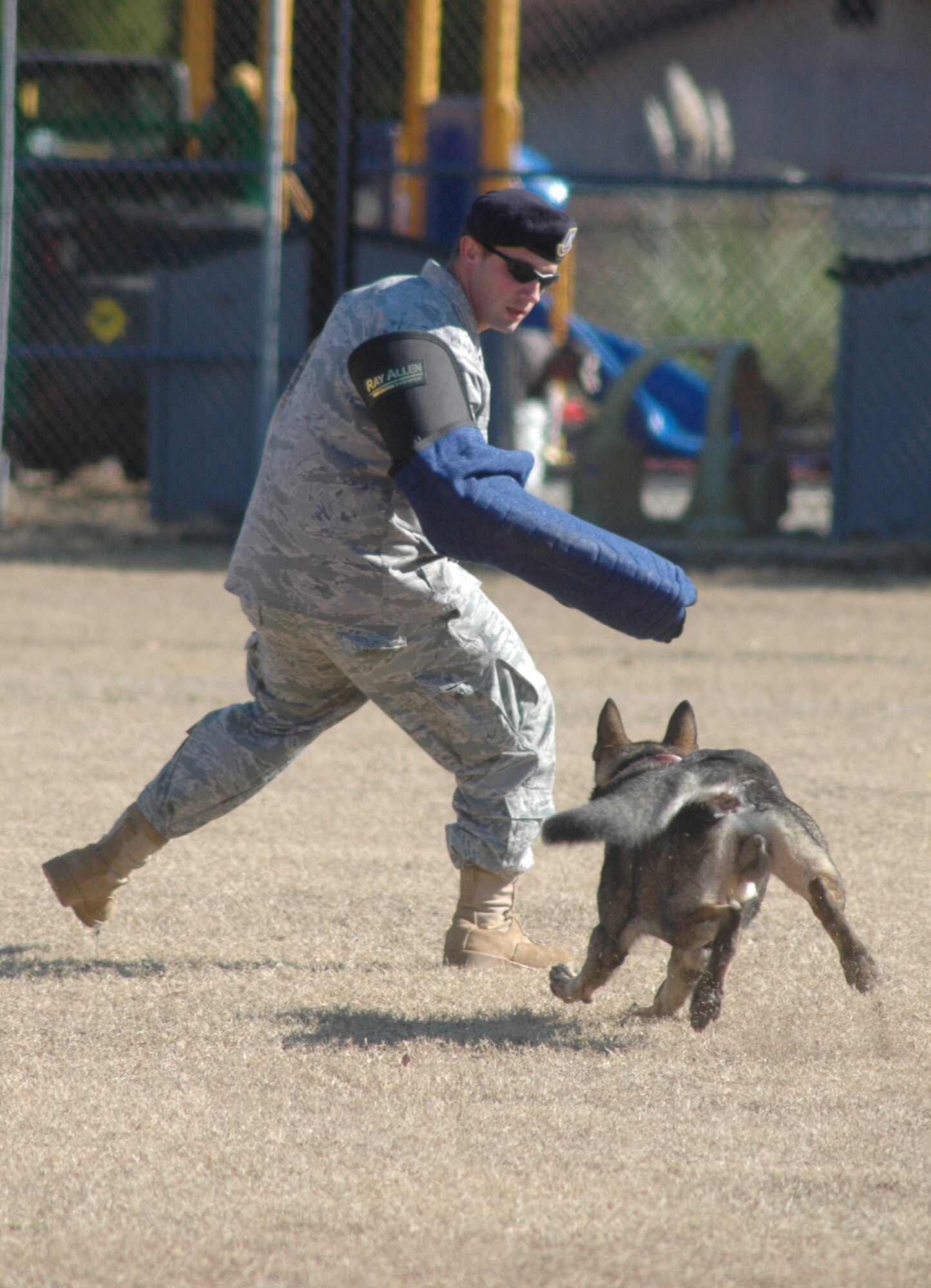 SSgt. Josh Kieffer, 78th SFS, trains with military working dog Spearing to help ensure security at Robins.  U. S. Air Force photo by Sue Sapp