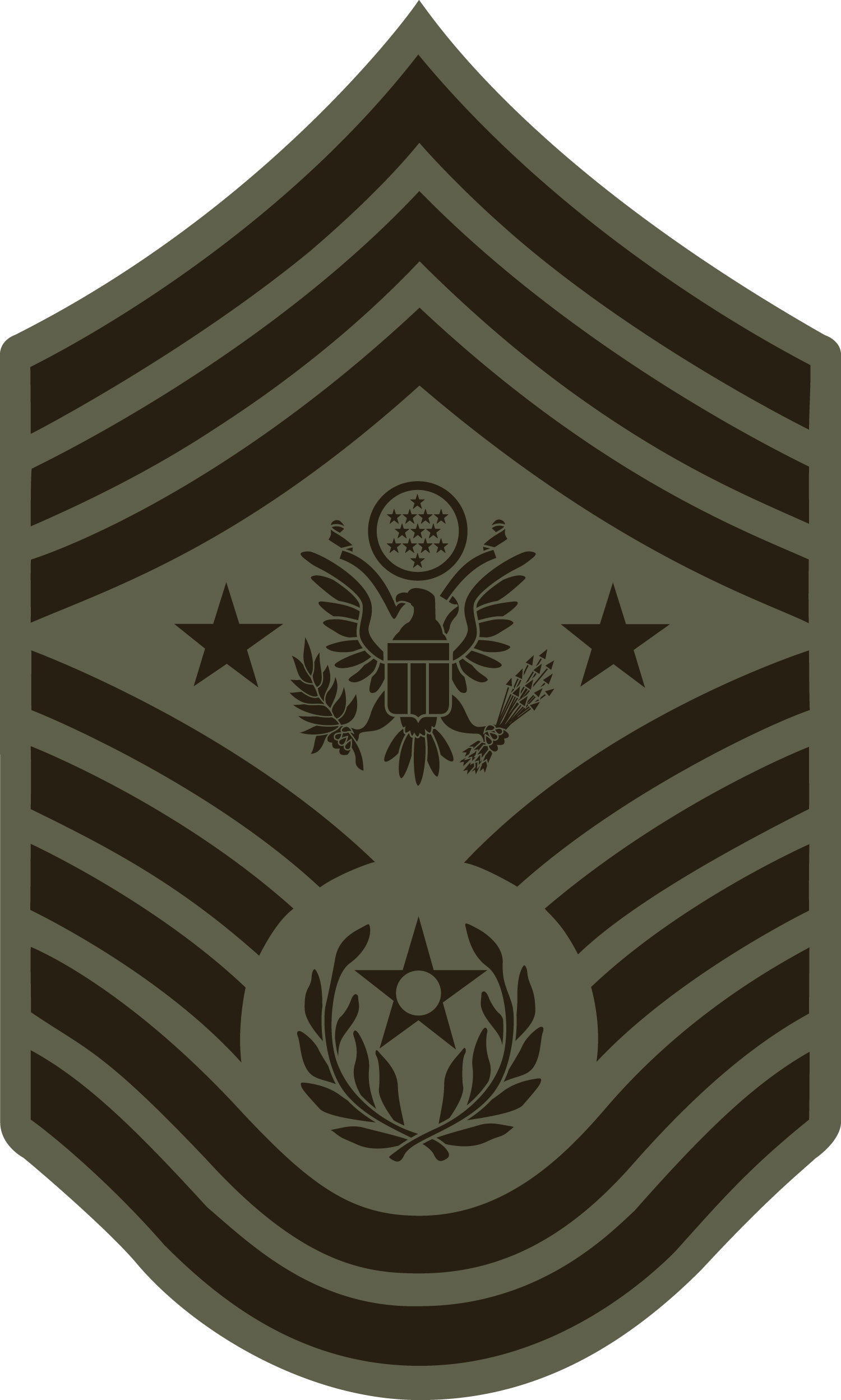 Chief Master Sergeant Logo