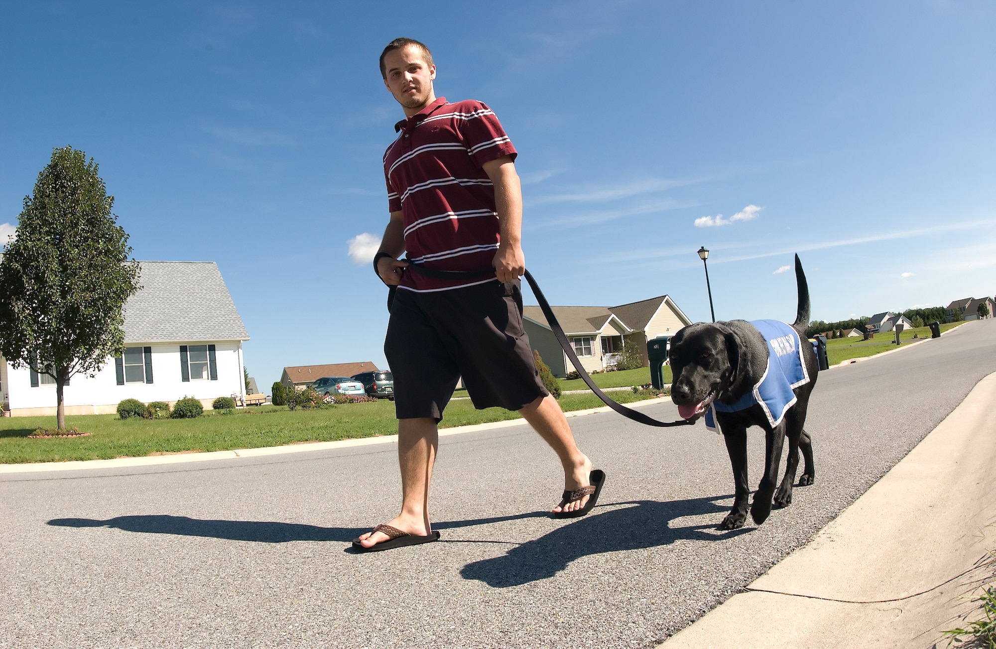 Brandon Luba, son of Master Sgt. Michael Luba, 9th Airlift Wing, walks Fala, a black Labrador retriever.  Fala was a seeing eye dog candidate and is now used to help train other dogs for the Guiding Eyes for the Blind program.  (U.S. Air Force photo/Jason Minto)