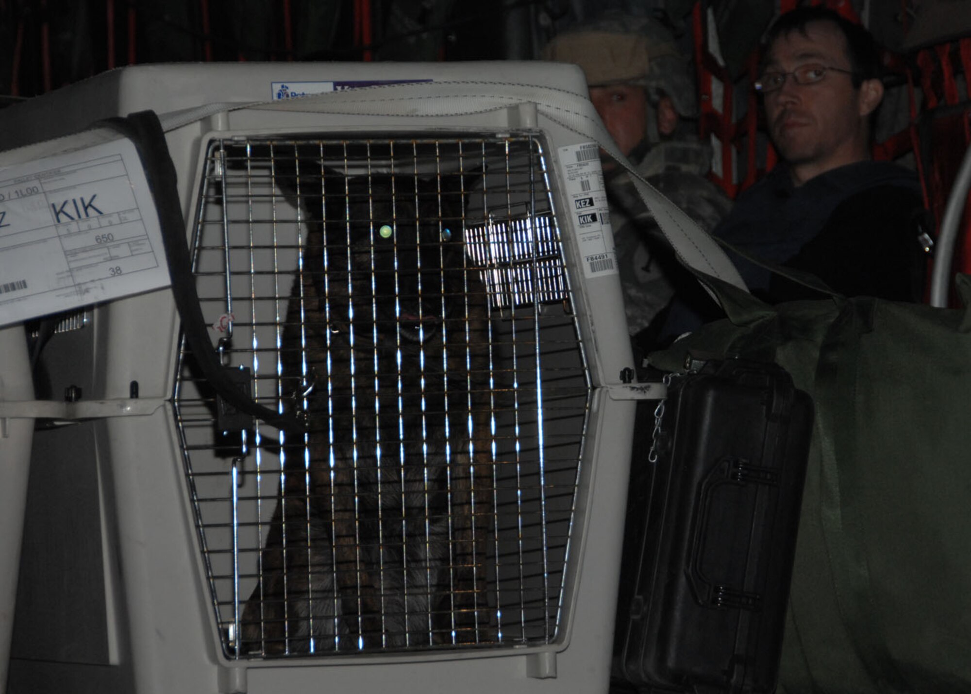 SOUTHWEST ASIA -- Kelly, Air Force military working dog, gets comfortable in her kennel before her flight into Iraq at an air base in Southwest Asia, Jan. 13. Kelly and her handler are both from Moody Air Force Base, Georgia. (U.S. Air Force photo/Senior Airman Courtney Richardson)