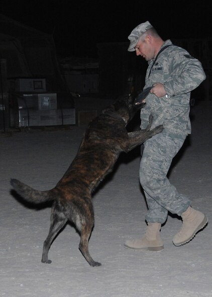 SOUTHWEST ASIA -- Staff Sgt. Garry Laub, 823rd Security Forces Squadron, plays tug-of-war with Kelly, Air Force military working dog, before boarding their flight into Iraq at an air base in Southwest Asia, Jan. 15. Kelly will travel in her kennel during the flight. (U.S. Air Force photo/Senior Airman Courtney Richardson)