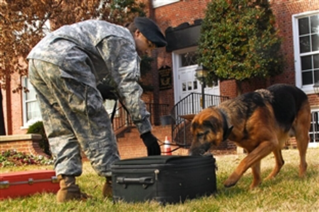 U.S. Army Sgt. Malkia Litaker and her military working dog, Gerko, work together to find simulated explosives during a demonstration on Fort McNair, Washington, D.C., Jan. 14, 2009.  
Litaker is assigned to the 947th Military Police Detachment, which provided explosive-detection capability during inaugural events in the nation's capital. Litaker said Gerko can detect up to nine different chemical scents that might indicate the presence of explosives. 