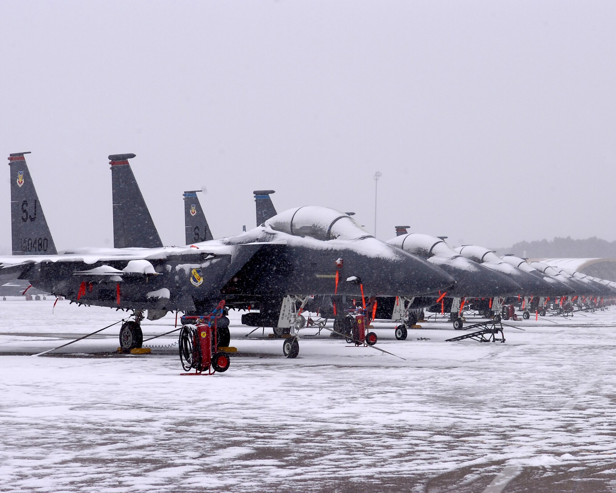 Several F-15E Strike Eagles sit grounded during a heavy snowstorm here Jan. 20, 2009 at Seymour Johnson Air Force Base, N.C. The unseasonable weather pattern dropped four to six inches of snow in a three hour period. (U.S. Air Force photo by Master Sgt. Brandt Smith)    