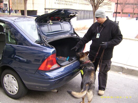 Staff Sgt. Michael Espinoza, a dog handler with the 96th Security Forces, inspects a vehicle in Baltimore, Md., prior to the arrive of then President-elect Barack Obama arrival Jan. 17. Sergeant Espinoza was on hand to provide security for the incoming president. (Courtesy photo)

