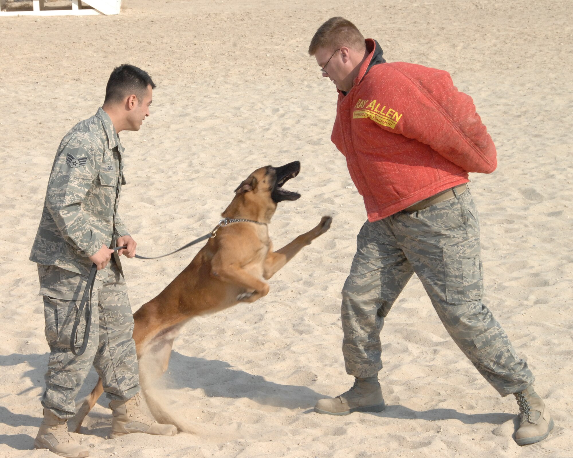 SOUTHWEST ASIA -- Senior Airman Juan Garcia, military working dog handler, commands Iindy, Air Force military working dog, to perform a frontal attack on Tech. Sgt Christopher Juvrad, 386th Expeditionary Security Forces Squadron kennel master, at an air base in Southwest Asia, Jan 21. The handlers maintain constant training with their dogs to build a better, more comfortable working relationship. (U.S. Air Force photo/Senior Airman Courtney Richardson)