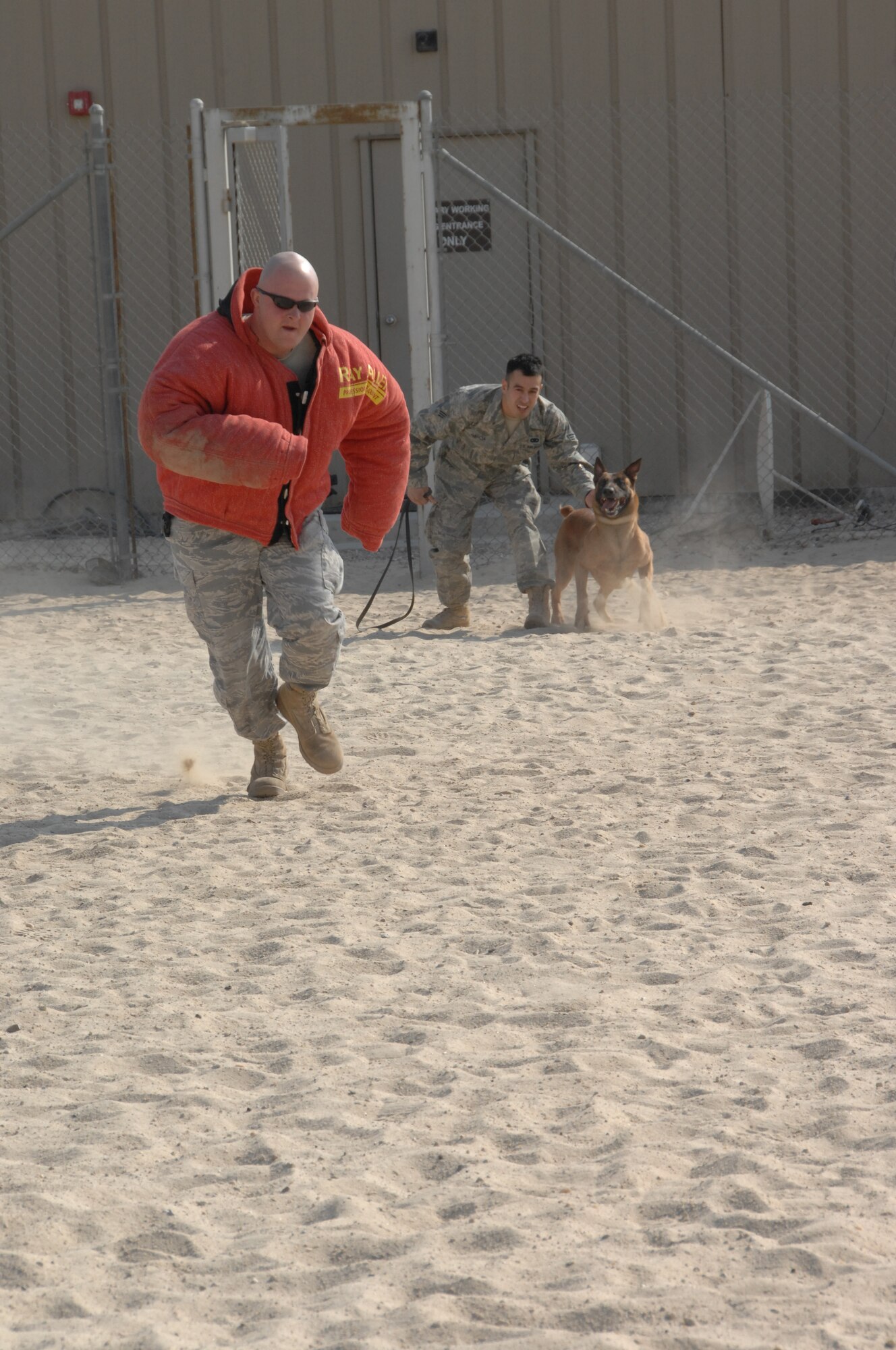 SOUTHWEST ASIA -- Staff Sgt. Jason Laux, military working dog handler, acts as a decoy and runs from Iindy, Air Force military working dog, during her practice of a distance bite, at an air base in Southwest Asia, Jan. 21. Iindy and her handler, Senior Airman Juan Garcia, MWD handler from McConnell Air Force Base, Kan., have been working together for one month.(U.S. Air Force photo/Senior Airman Courtney Richardson)