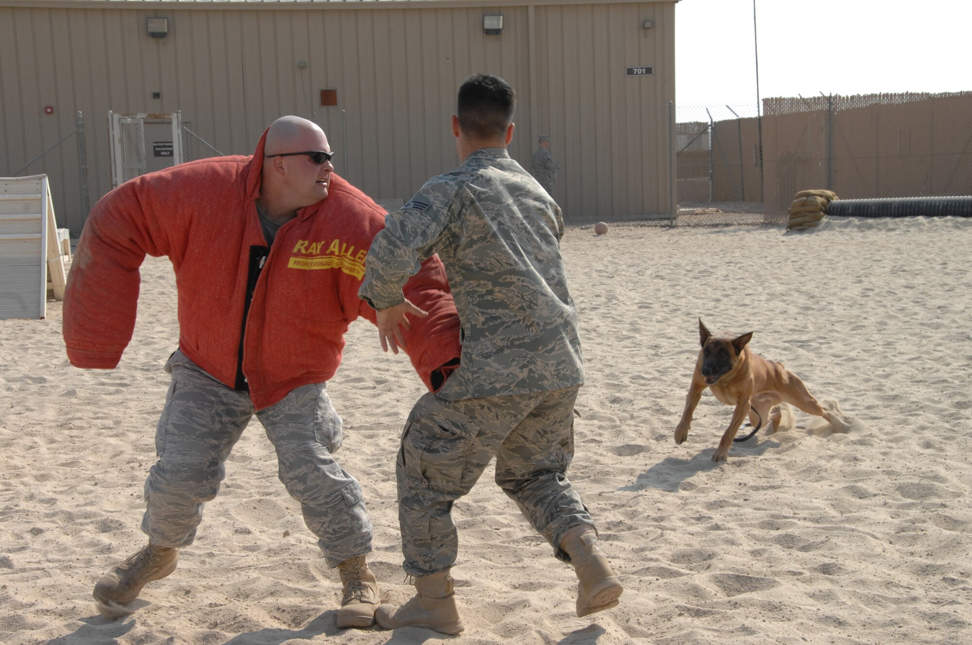 SOUTHWEST ASIA -- Iindy, Air Force military working dog, performs the search and re-attack method with handler Senior Airman Juan Garcia and decoy handler Staff Sgt. Jason Laux, both with the 386th Expeditionary Security Forces Squadron, at an air base in Southwest Asia, Jan. 21. The search and re-attack method consist of the handler searching the suspect and when the suspect attempts to harm the handler, the dog attacks without command. (U.S. Air Force photo/Senior Airman Courtney Richardson)