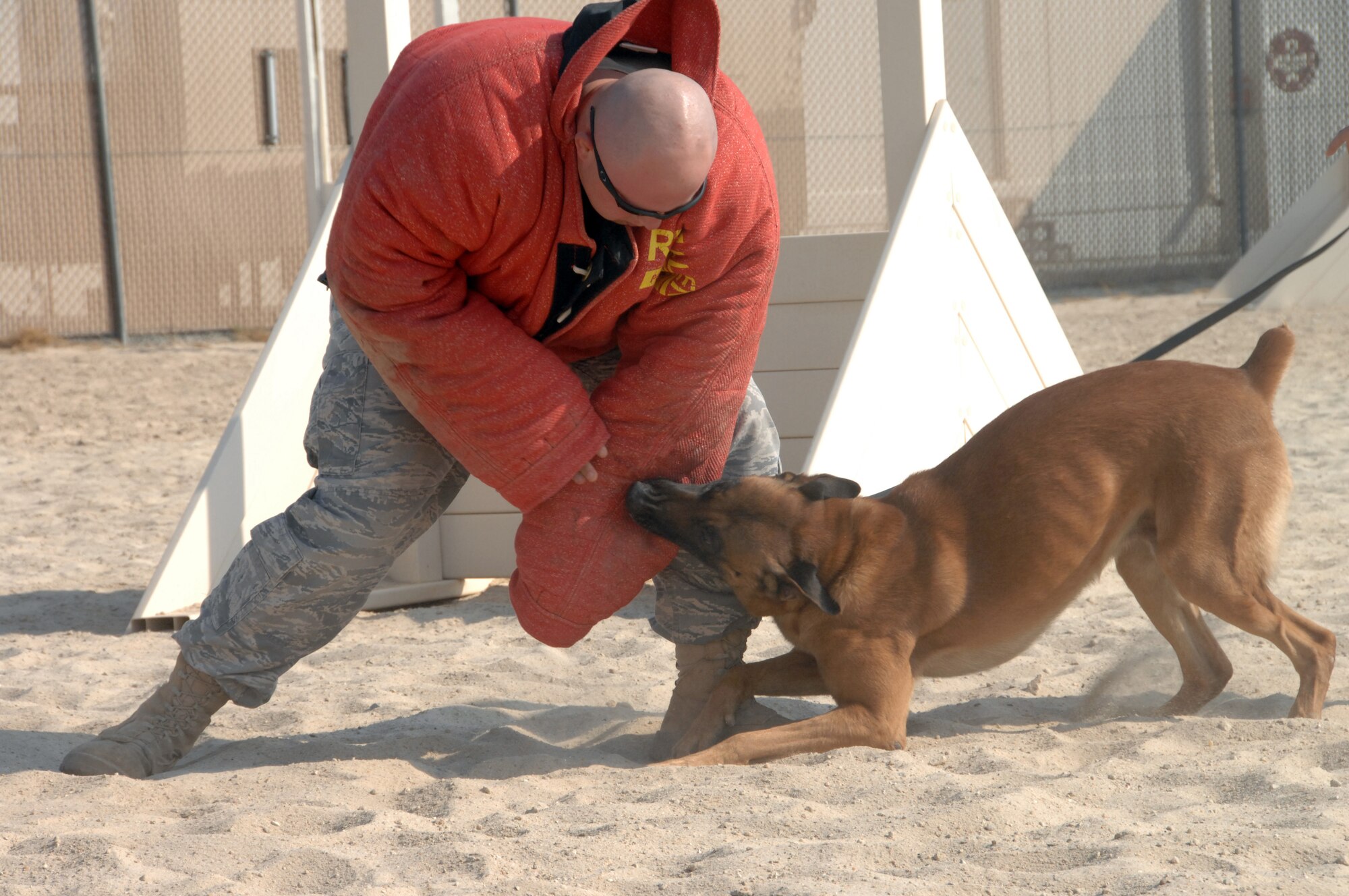 SOUTHWEST ASIA -- Staff Sgt. Jason Laux, military working dog handler, braces himself during a practice attack by Iindy, Air Force military working dog, on an air base in Southwest Asia, Jan. 22. This air base provides a hub for all military working dog teams transiting through to further deployed locations.(U.S. Air Force photo/Senior Airman Courtney Richardson)