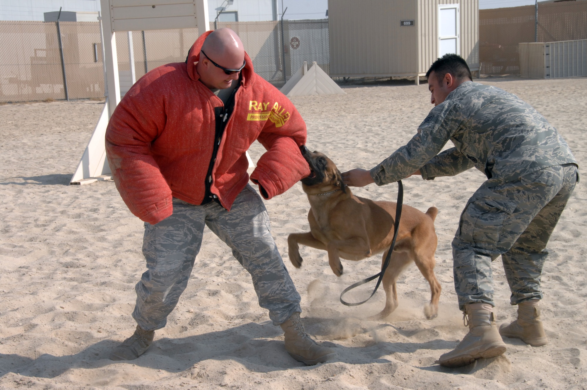 SOUTHWEST ASIA -- Senior Airman Juan Garcia, military working dog handler, calls off Iindy, Air Force military working dog, during a practice attack on the decoy, Staff Sgt Jason Laux, Air Force military working dog handler, at an air base in Southwest Asia, Jan. 21. This air base not only carries its own MWD teams, it also provides support for all MWD teams heading into the war zone. (U.S. Air Force photo/Senior Airman Courtney Richardson)