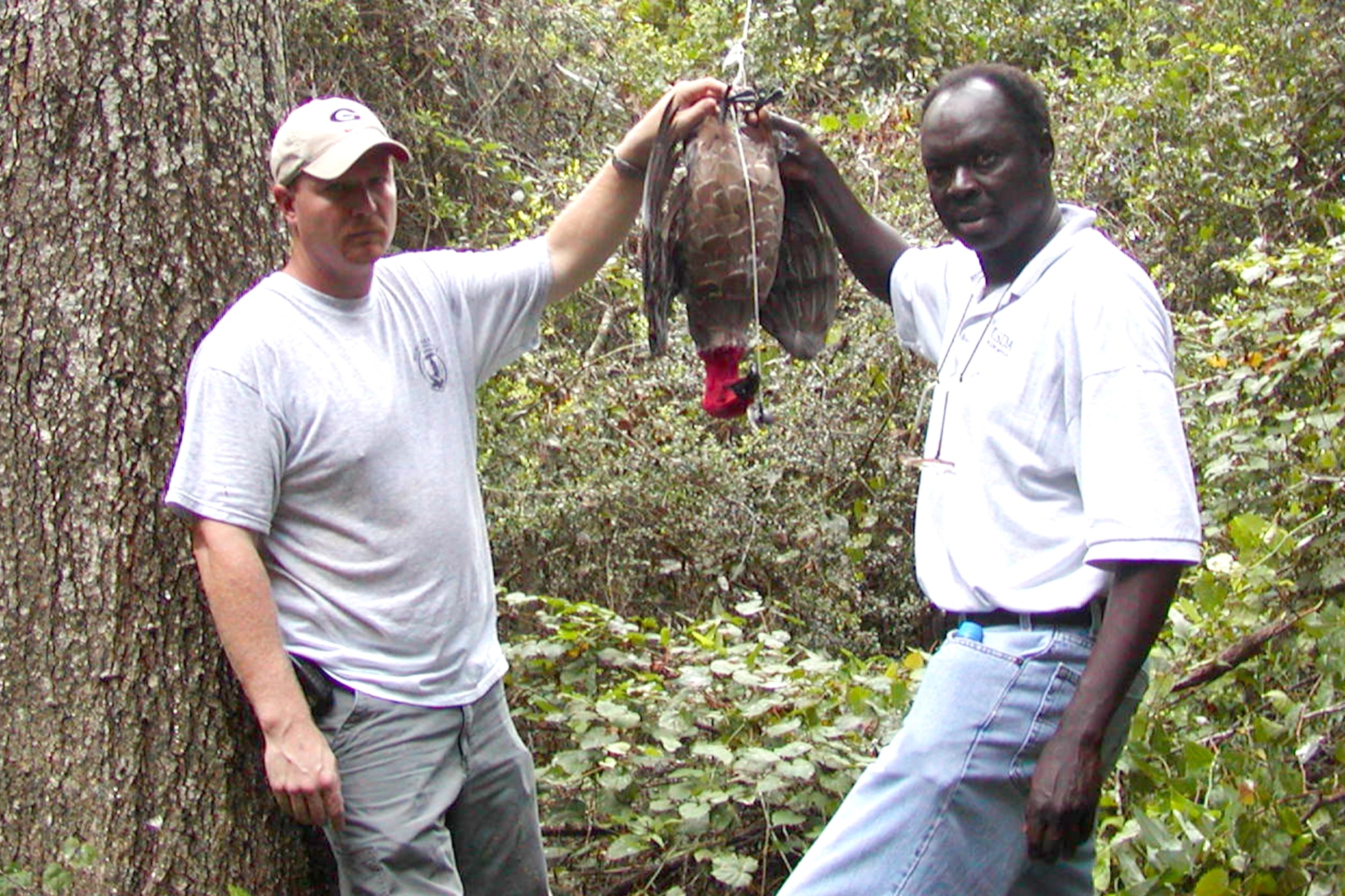 EGLIN AIR FORCE BASE, Fla. – Marty Daniel and Charles Kara, U.S. Department of Agriculture Wildlife Services wildlife biologists, hold a turkey vulture effigy before they prepare to hang it in a tree. The wildlife biologists are tasked with implementing the Bird and Wildlife Aircraft Strike Hazard program here. (U.S. Air Force courtesy photo)
