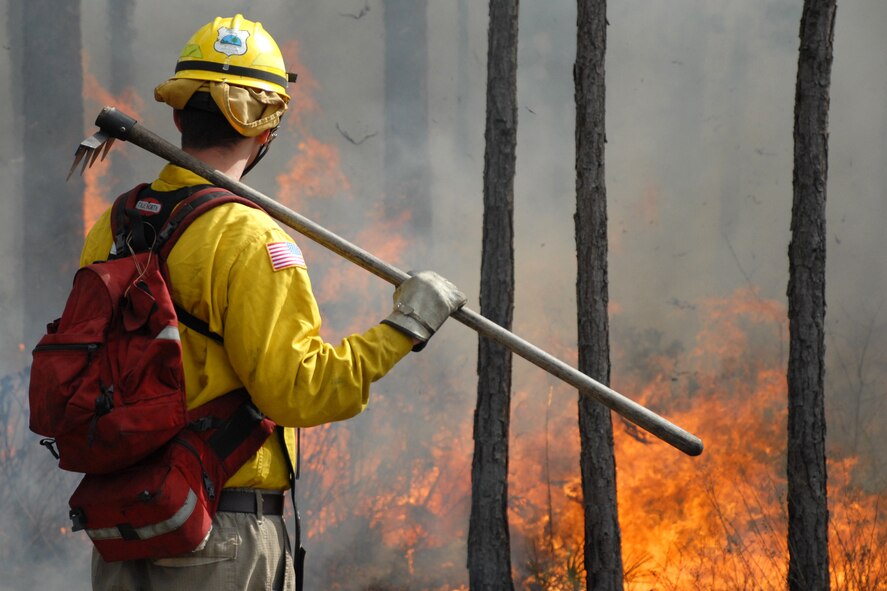 EGLIN AIR FORCE BASE, Fla. -- Ryan Campbell, a Jackson Guard forestry technician and wildland fire specialist, watches the progress of a fire set for a prescribed burn at White Point, an 85-acre recreation area on the Choctawhatchee Bay Jan. 29. Many native plants and animal species depend on Eglin's fire-dependent long-leaf pine ecosystem, 11 of which are federally protected. Endangered species such as the red-cockaded woodpecker, depend on fire that is typically caused by either lightning strikes or Eglin's resident fire managers to survive. As of the 2008 control burn season, Jackson Guard's five-year average is 73,000 acres burned annually. (U.S. Air Force Photo by Staff Sgt. Mike Meares) 