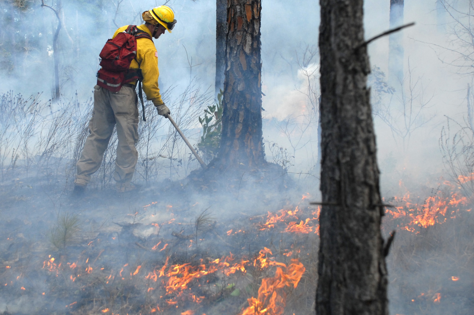 EGLIN AIR FORCE BASE, Fla. -- Ryan Campbell, a Jackson Guard forestry technician and wildland fire specialist, rakes loose debris from around the base of a long-leaf pine tree to prevent damage during a prescribed burn at White Point, an 85-acre recreation area on the Choctawhatchee Bay Jan. 29. Many native plants and animal species depend on Eglin's fire-dependent long-leaf pine ecosystem, 11 of which are federally protected. Endangered species such as the red-cockaded woodpecker, depend on fire that is typically caused by either lightning strikes or Eglin's resident fire managers to survive. As of the 2008 control burn season, Jackson Guard's five-year average is 73,000 acres burned annually. (U.S. Air Force Photo by Staff Sgt. Mike Meares)