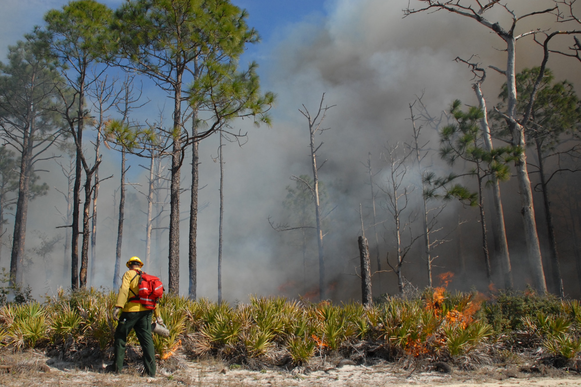 EGLIN AIR FORCE BASE, Fla. -- David Grimm, a Jackson Guard forestry technician and wildland fire specialist, uses a fire drip can to start a fire line during a prescribed burn at White Point, an 85-acre recreation area on the Choctawhatchee Bay Jan. 29. Many native plants and animal species depend on Eglin's fire-dependent long-leaf pine ecosystem, 11 of which are federally protected. Endangered species such as the red-cockaded woodpecker, depend on fire that is typically caused by either lightning strikes or Eglin's resident fire managers to survive. As of the 2008 control burn season, Jackson Guard's five-year average is 73,000 acres burned annually. (U.S. Air Force Photo by Staff Sgt. Mike Meares)