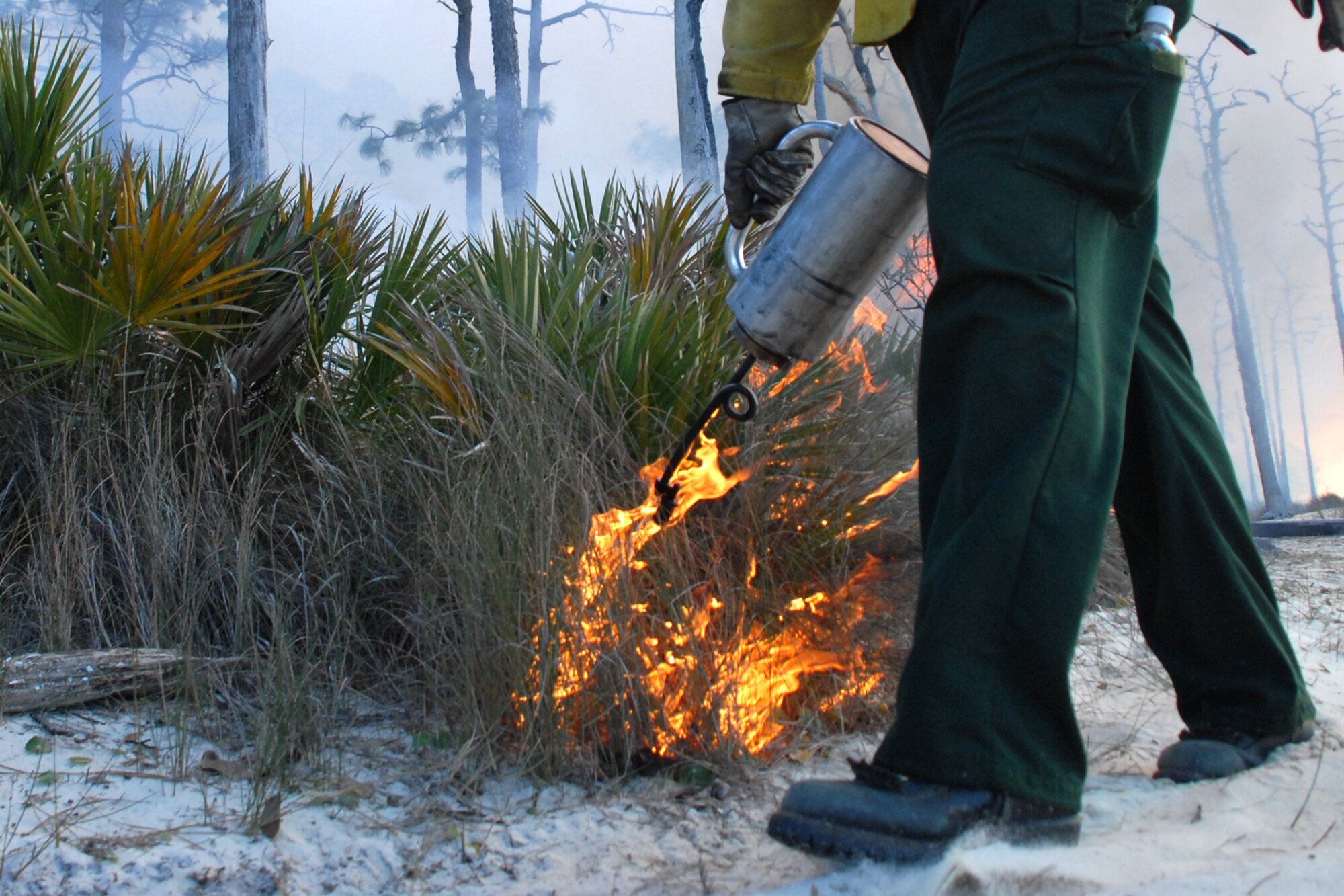 EGLIN AIR FORCE BASE, Fla. -- David Grimm, a Jackson Guard forestry technician and wildland fire specialist, uses a fire drip can to start a fire line during a prescribed burn at White Point, an 85-acre recreation area on the Choctawhatchee Bay Jan. 29. Many native plants and animal species depend on Eglin's fire-dependent long-leaf pine ecosystem, 11 of which are federally protected. Endangered species such as the red-cockaded woodpecker, depend on fire that is typically caused by either lightning strikes or Eglin's resident fire managers to survive. As of the 2008 control burn season, Jackson Guard's five-year average is 73,000 acres burned annually. (U.S. Air Force Photo by Staff Sgt. Mike Meares)
