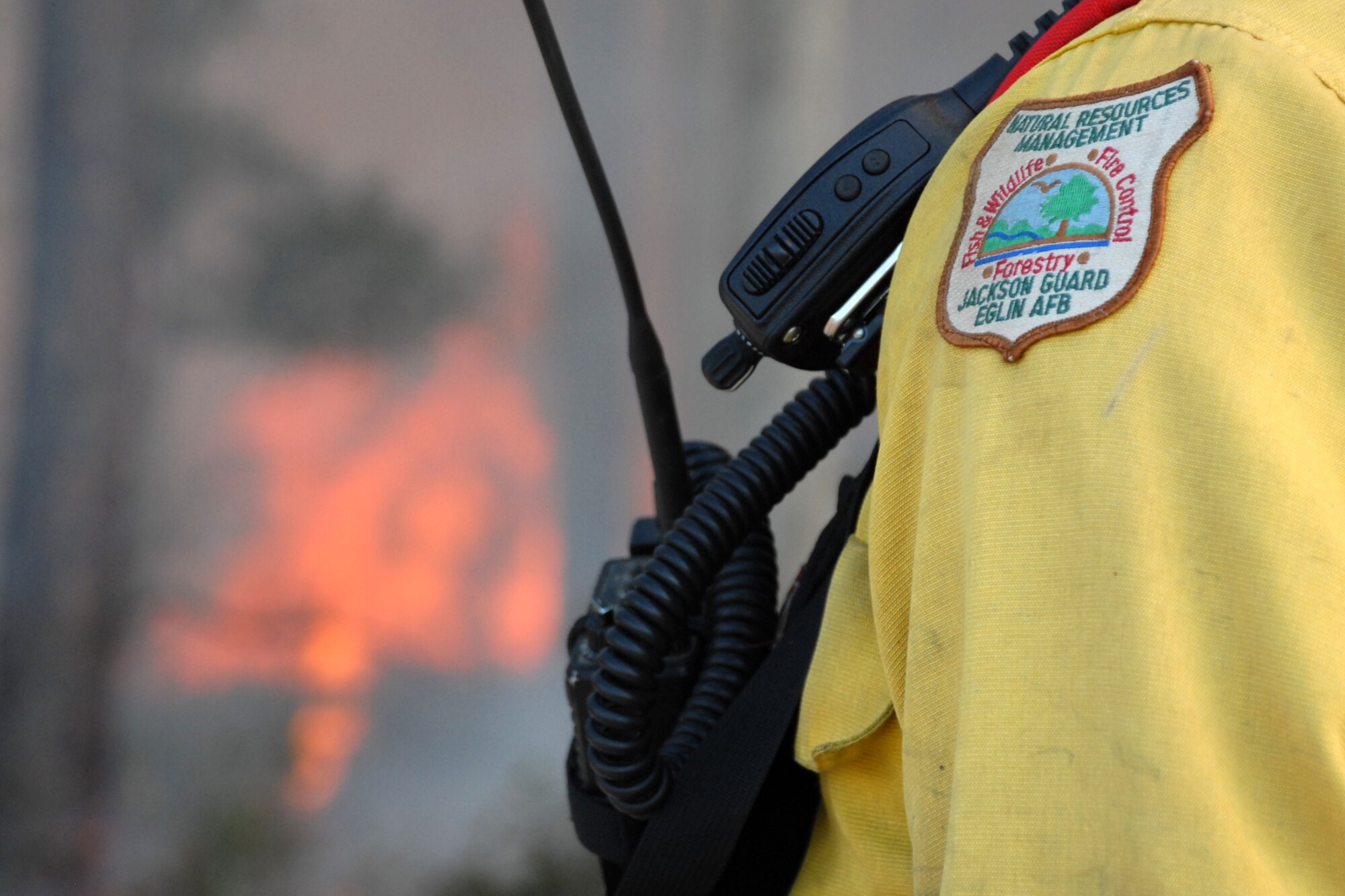 EGLIN AIR FORCE BASE, Fla. -- Jackson Guard forestry technicians and wildland fire specialists watch over a prescribed burn at White Point, an 85-acre recreation area on the Choctawhatchee Bay Jan. 29. Many native plants and animal species depend on Eglin's fire-dependent long-leaf pine ecosystem, 11 of which are federally protected. Endangered species such as the red-cockaded woodpecker, depend on fire that is typically caused by either lightning strikes or Eglin's resident fire managers to survive. As of the 2008 control burn season, Jackson Guard's five-year average is 73,000 acres burned annually. (U.S. Air Force Photo by Staff Sgt. Mike Meares)