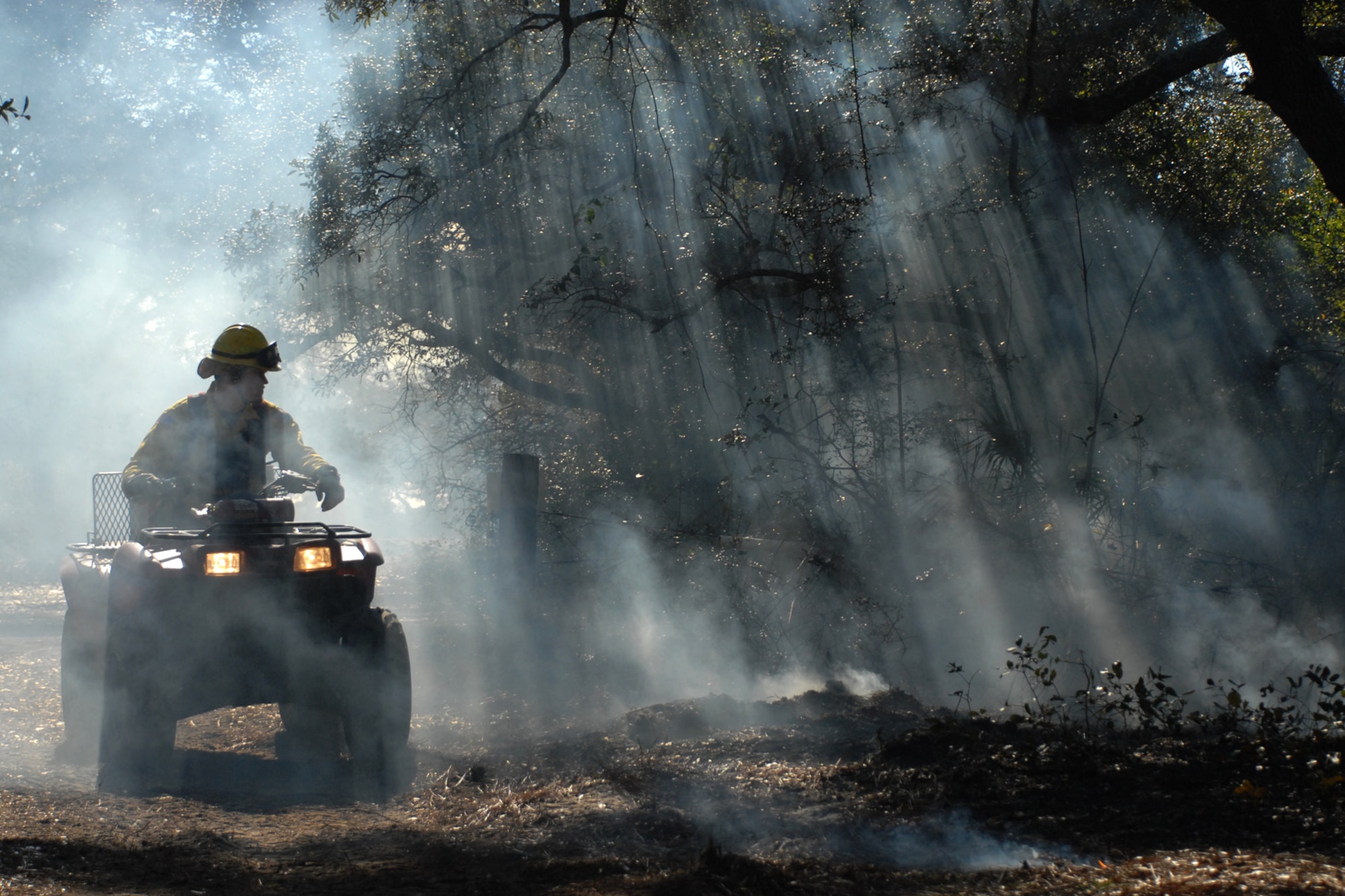 EGLIN AIR FORCE BASE, Fla. ? Ryan Campbell, a Jackson Guard forestry technician and wildland fire specialist, navigates an all-terrain vehicle through smoke looking over the charred area during a prescribed burn at White Point, an 85-acre recreation area on the Choctawhatchee Bay Jan. 29. Many native plants and animal species depend on Eglin?s fire-dependent long-leaf pine ecosystem, 11 of which are federally protected. Endangered species such as the red-cockaded woodpecker, depend on fire that is typically caused by either lightning strikes or Eglin's resident fire managers to survive. As of the 2008 control burn season, Jackson Guard?s five-year average is 73,000 acres burned annually. (U.S. Air Force Photo by Staff Sgt. Mike Meares)