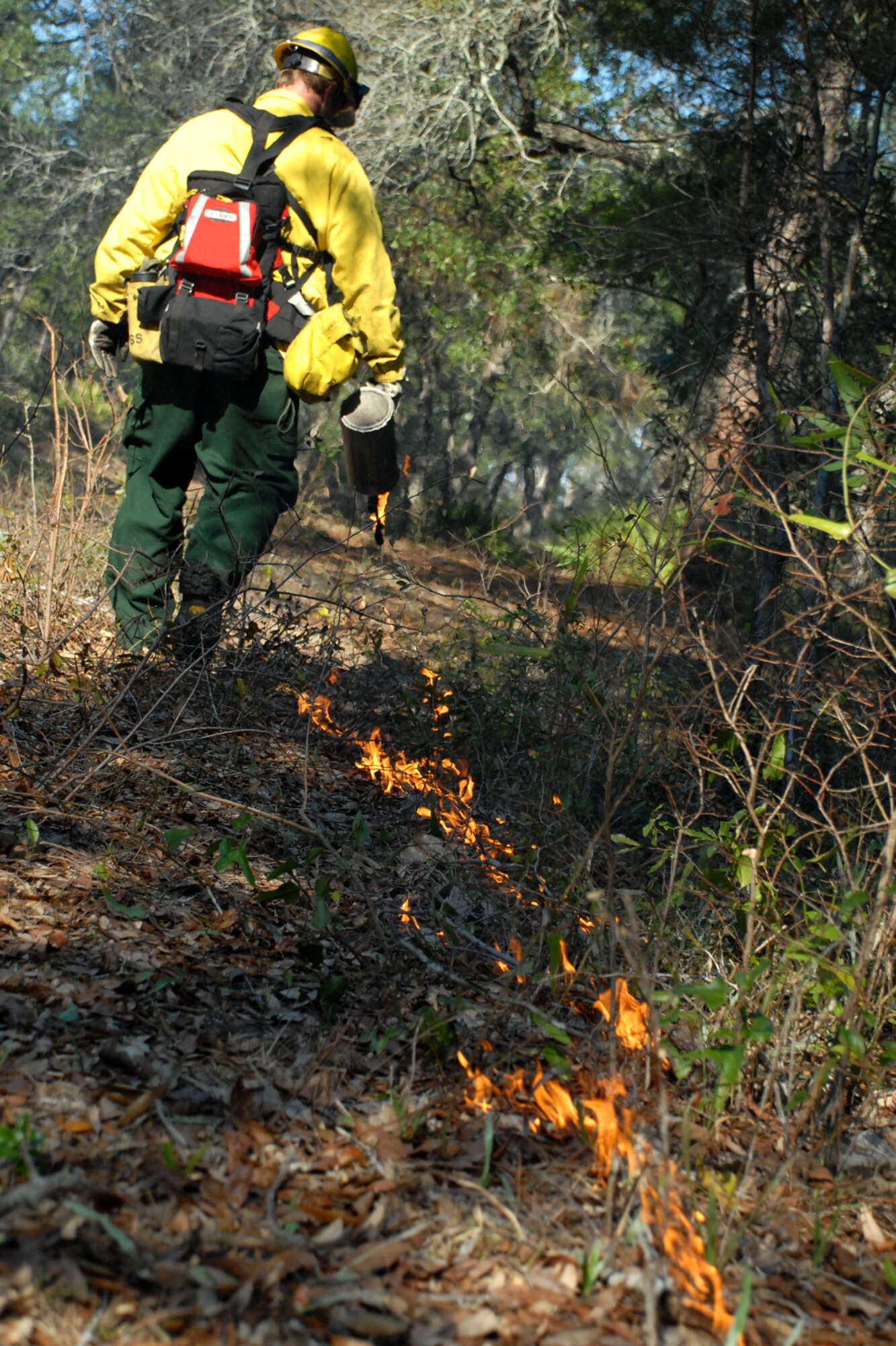 EGLIN AIR FORCE BASE, Fla. ? Hollister Hurt, a Jackson Guard forestry technician and wildland fire specialist, uses a fire drip can to start a fire line during a prescribed burn at White Point, an 85-acre recreation area on the Choctawhatchee Bay Jan. 29. Many native plants and animal species depend on Eglin?s fire-dependent long-leaf pine ecosystem, 11 of which are federally protected. Endangered species such as the red-cockaded woodpecker, depend on fire that is typically caused by either lightning strikes or Eglin's resident fire managers to survive. As of the 2008 control burn season, Jackson Guard?s five-year average is 73,000 acres burned annually. (U.S. Air Force Photo by Staff Sgt. Mike Meares)