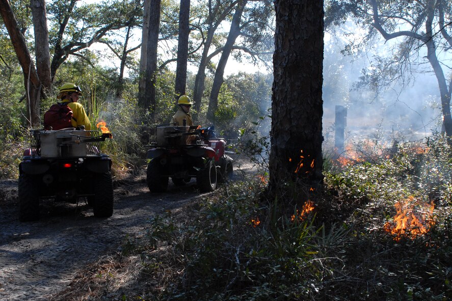 EGLIN AIR FORCE BASE, Fla. -- Jackson Guard forestry technicians and wildland fire specialists watch as a fire consumes dry leaves and underbrush during a prescribed burn at White Point, an 85-acre recreation area on the Choctawhatchee Bay Jan. 29. Many native plants and animal species depend on Eglin's fire-dependent long-leaf pine ecosystem, 11 of which are federally protected. Endangered species such as the red-cockaded woodpecker, depend on fire that is typically caused by either lightning strikes or Eglin's resident fire managers to survive. As of the 2008 control burn season, Jackson Guard's five-year average is 73,000 acres burned annually. (U.S. Air Force Photo by Staff Sgt. Mike Meares) 
