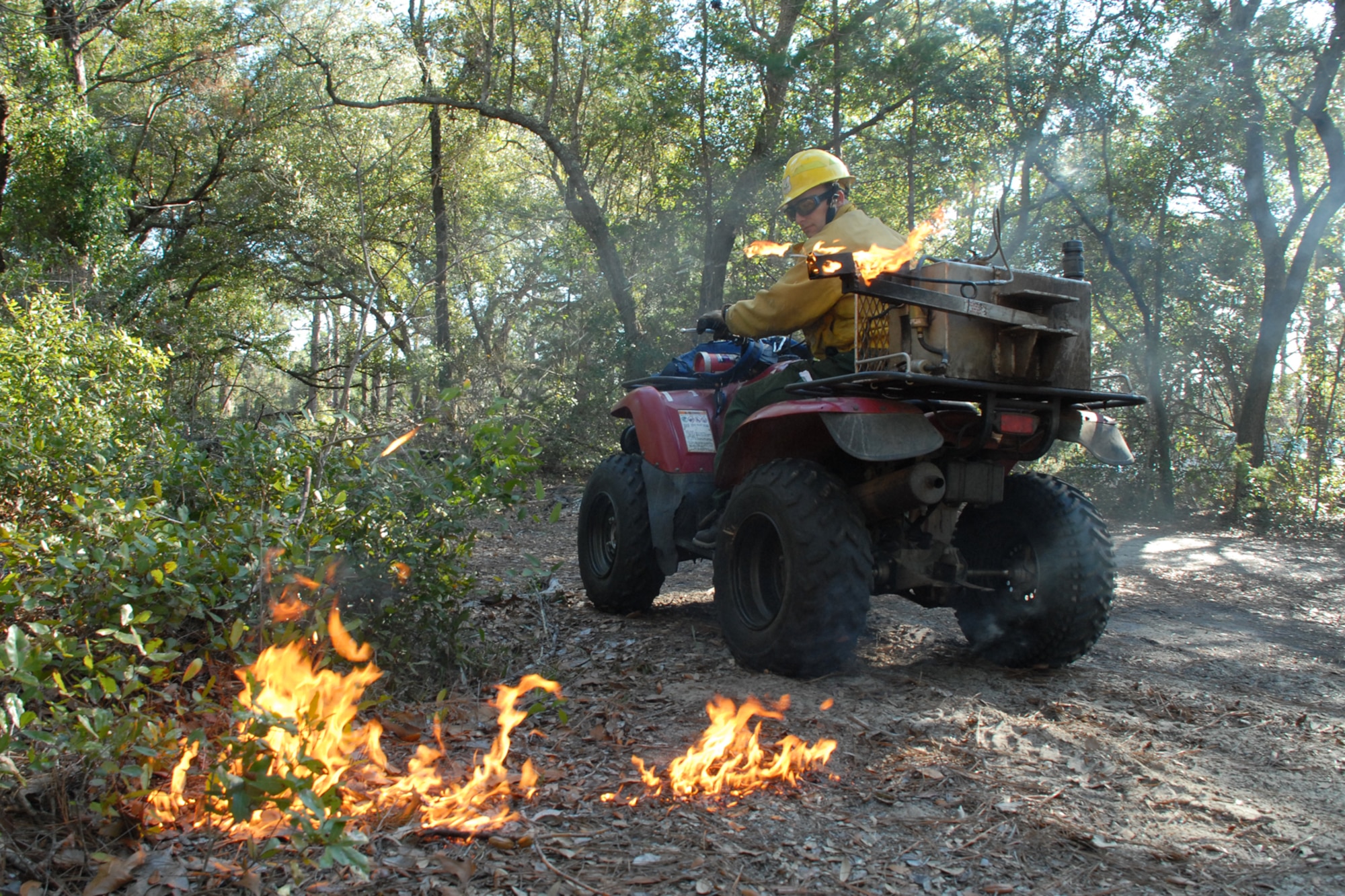 EGLIN AIR FORCE BASE, Fla. -- Tom Murrie, a Jackson Guard forestry technician and wildland fire specialist, uses a mixture of fuels in a drip line to spark a prescribed fire from an all terrain vehicle at White Point, an 85-acre recreation area on the Choctawhatchee Bay Jan. 29. Many native plants and animal species depend on Eglin's fire-dependent long-leaf pine ecosystem, 11 of which are federally protected. Endangered species such as the red-cockaded woodpecker, depend on fire that is typically caused by either lightning strikes or Eglin's resident fire managers to survive. As of the 2008 control burn season, Jackson Guard's five-year average is 73,000 acres burned annually. (U.S. Air Force Photo by Staff Sgt. Mike Meares)
