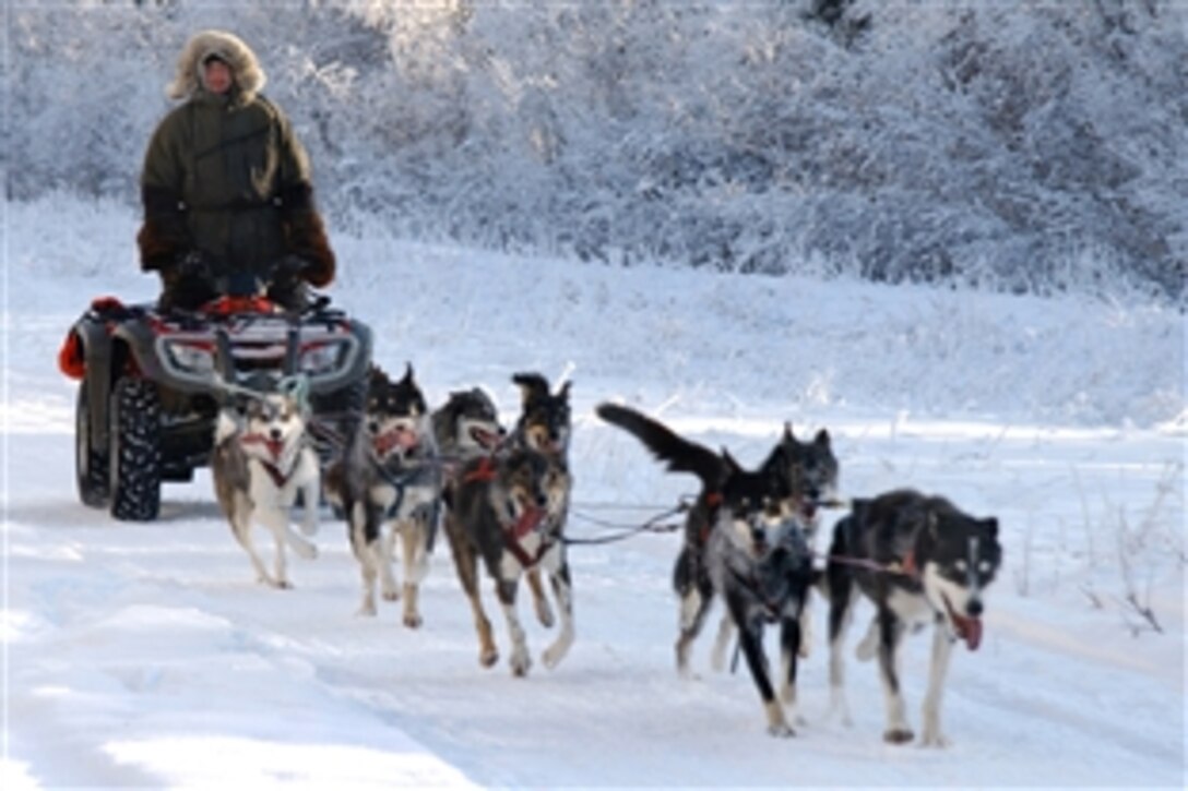 Alaska Army National Guard Staff Sgt. Harry Alexie runs 10 sled dogs on an 18-mile practice run near two-time Iditarod champion Lance Mackey’s ‘Comeback Kennel’ training facility in Fairbanks, Alaska, Jan. 30, 2009.