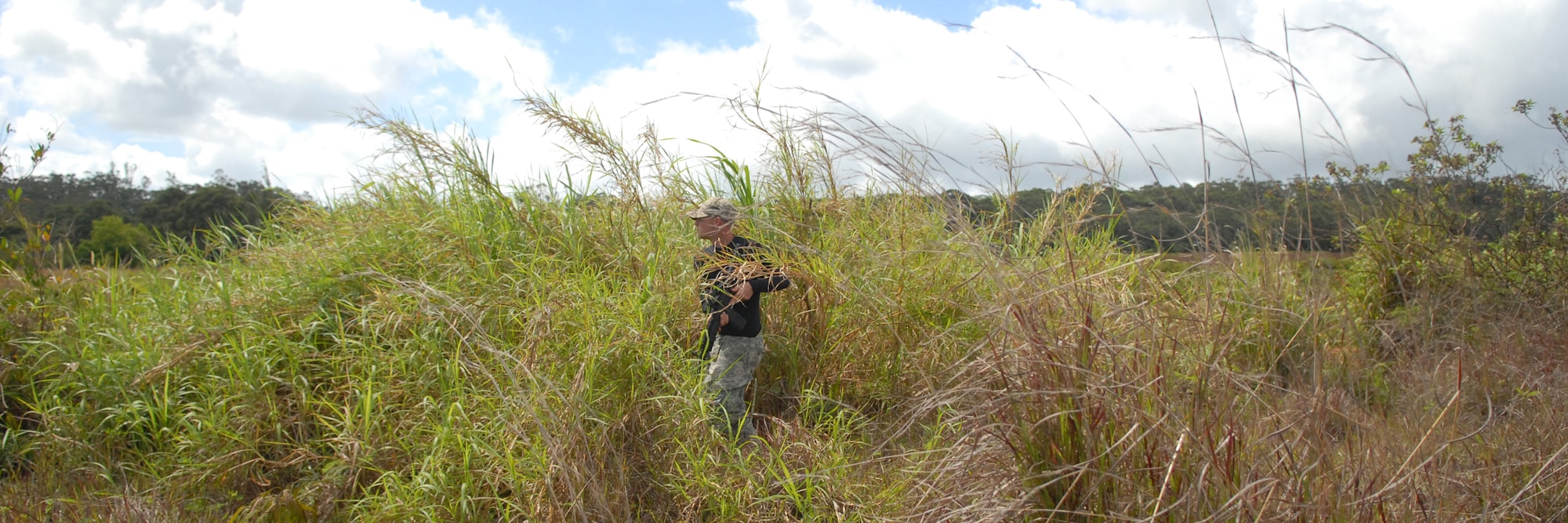 WHEELER ARMY AIR FIELD, Hawaii -- U.S. Army Spc. Brandon Cox, opposing forces team member,  uses the tall grass to creep up on a unsuspecting convoy during a field training exercise at the Army Wheeler Airfield East Range June 24. The opposing forces, or OPFOR, in the scene are what make the sights and sounds as realistic as possible. Specialist Cox is a member of the 25th Infantry, Alpha Company, 114th Infantry Battalion, at Scofield Barracks, Hawaii. He is a native of Dallas, Texas. (U.S. Air Force photo/Mike Meares)