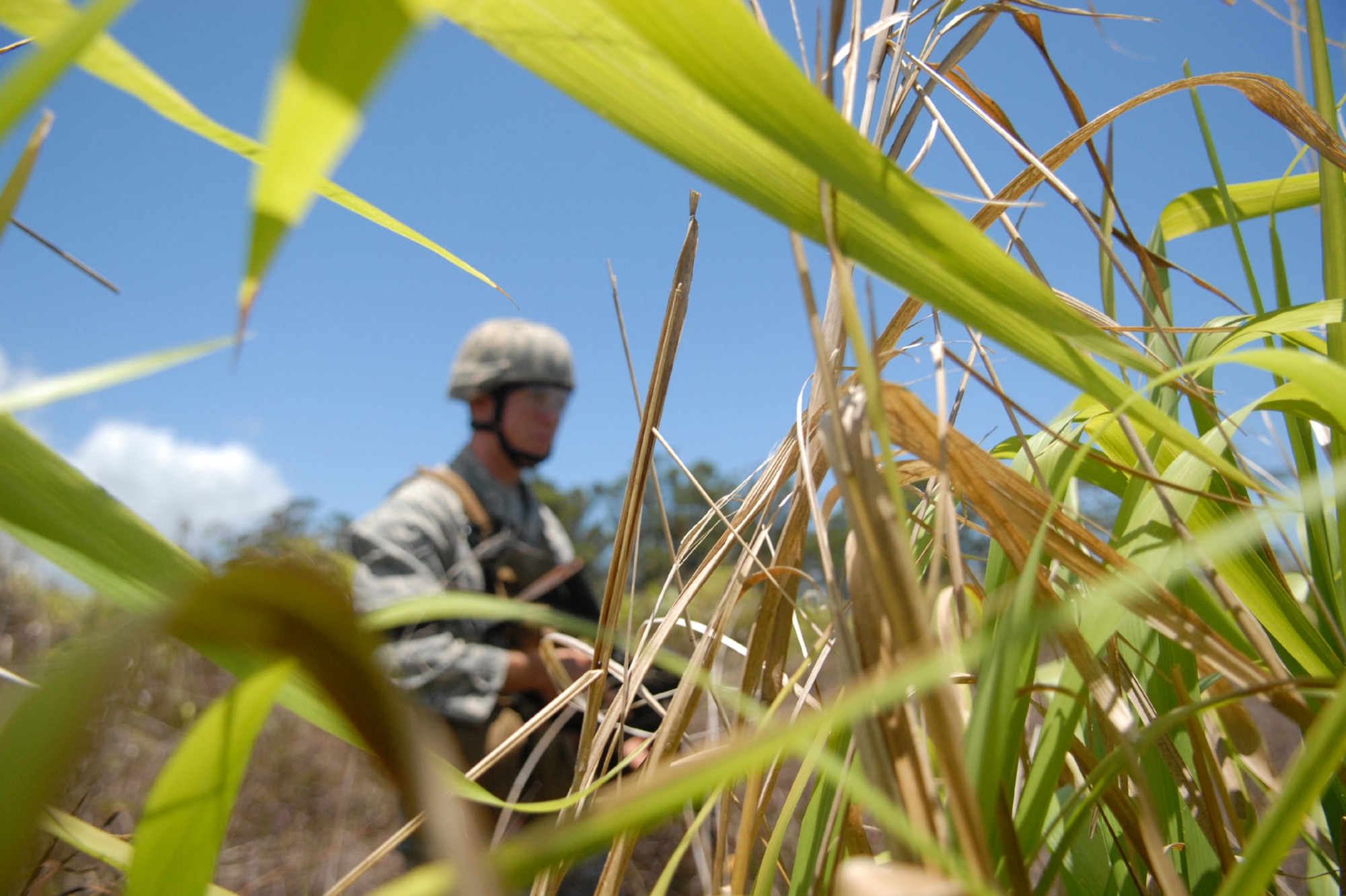 WHEELER ARMY AIR FIELD, Hawaii -- A 25th Air Support Operations Squadron Tactical Air Control Party Airman wads through tall grass sweeping for opposing forces on a patrol during a field training exercise June 24 on Wheeler Army Air Field's East Range. He and other Radio Operators, Maintainers and Drivers camped out for four days to sharpen proficiencies necessary for upgrade training to become combat mission-ready Joint Terminal Attack Controllers. Their training was enhanced by Airmen from 15th Civil Engineer Squadron Explosive Ordnance Disposal flight, and Soldiers from the 25th Infantry, Alpha Company, 114th Infantry Battalion, at Scofield Barracks, Hawaii, playing the part of opposing forces, or OPFOR. (U.S. Air Force photo/Staff Sgt. Mike Meares)