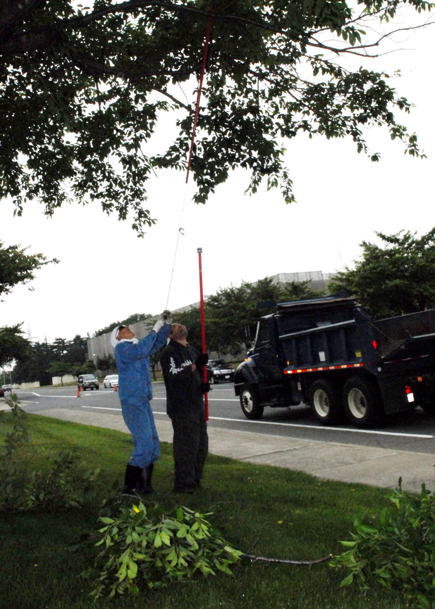 MISAWA AIR BASE, Japan -- Japanese contractors cut tree limbs that are hanging over the side walk and street July 2 near Friendship BLVD. Contractors have been trimming trees on Friendship Blvd since June 27. Low hanging branches require trimming to prevent safety hazards. (Air Force photo/Staff Sgt. Phillip Butterfield)  