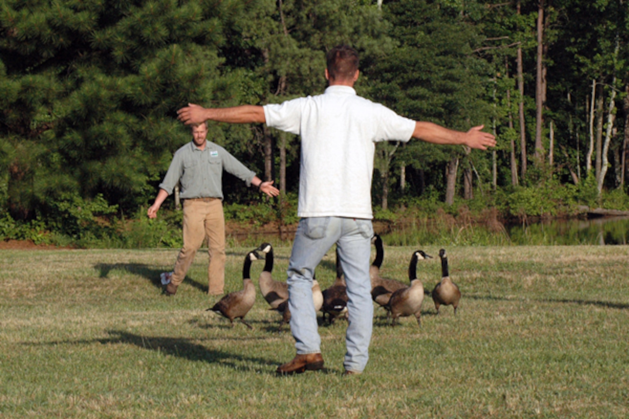 Matt Ondouchik, left, and Leif Stevens from the United States Department of Agriculture round up geese during Operation Goose Roundup on Dobbins Air Reserve Base July 2. The operation is part of the Bird Aircraft Strike Hazard Prevention Program, which is designed to keep military aircraft and birds separate without being a hazard to one another. (U.S. Air Force photo/Kennith Green) 