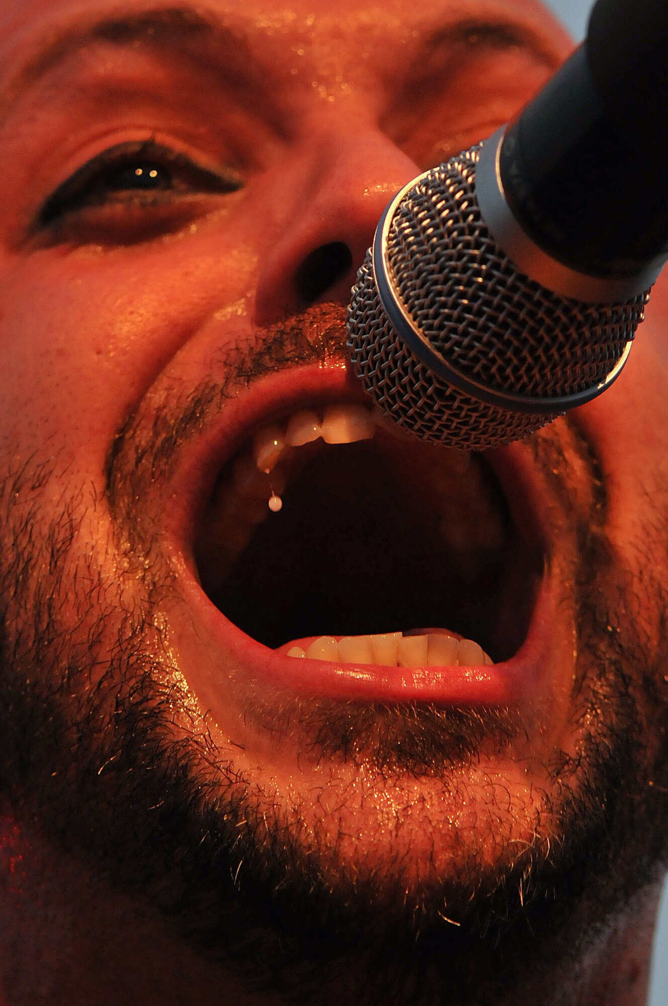 Justin Furstenfeld, lead singer of the band Blue October, sings at the Rockin' Fourth of July celebration, July 4, 2009, Kapaun Air Station, Germany. Kaiserslautern Military Community members celebrated the event with games, rides and concerts and ended the night with fireworks. (U.S. Air Force photo by Staff Sgt. Stephen J. Otero)