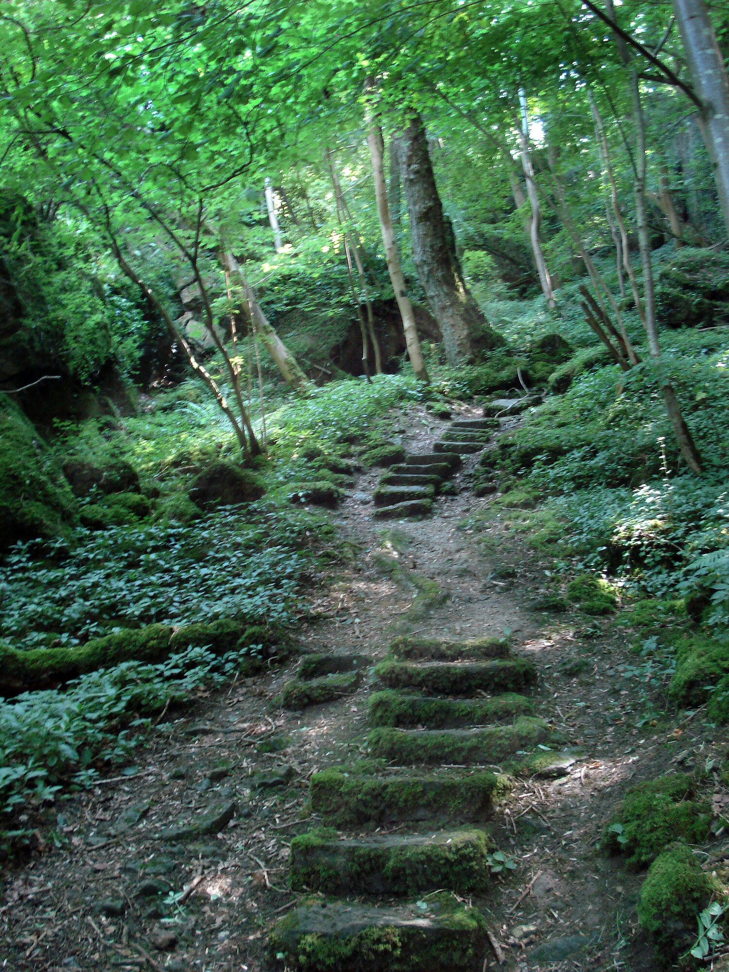 ECHTERNACH, Germany -- Forty-plus kilometers of lush green trees, centuries-old stone steps and cool, forest air await hikers who venture to the Germany-Luxembourg border. Located near the bustling town of Echternach, Luxembourg and along the Sauer River are trails that wind through forests and parks. Distinct, colorful markings on the trees keep hikers from getting lost, and the scenery along the way is anything but boring. Added bonus: parking near the Echternach bus station is free and so is hiking. It’s advisable to wear comfortable shoes with quality tracking, apply sunscreen and bug spray, and bring plenty of water and snacks. (U.S. Air Force photo by 1st Lt. Kathleen Polesnak)