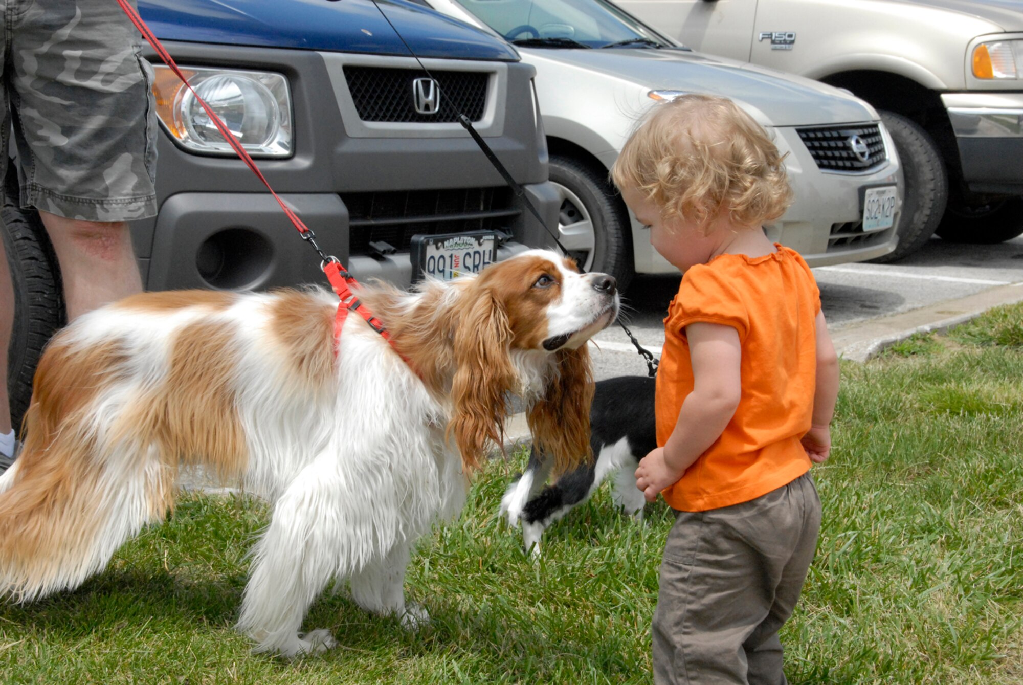 WHITEMAN AIR FORCE BASE, Mo. - Anna Bunting, daughter of Staff Sgt. Justin Bunting makes a new friend at the 442nd Fighter Wing’s family-day picnic June 13. Sergeant Bunting is a reservist in the 442nd Aircraft Maintenance Squadron, part of the 442nd Fighter Wing, an Air Force Reserve unit based here at Whiteman. (U.S. Air Force photo/Senior Airman Danielle Wolf)