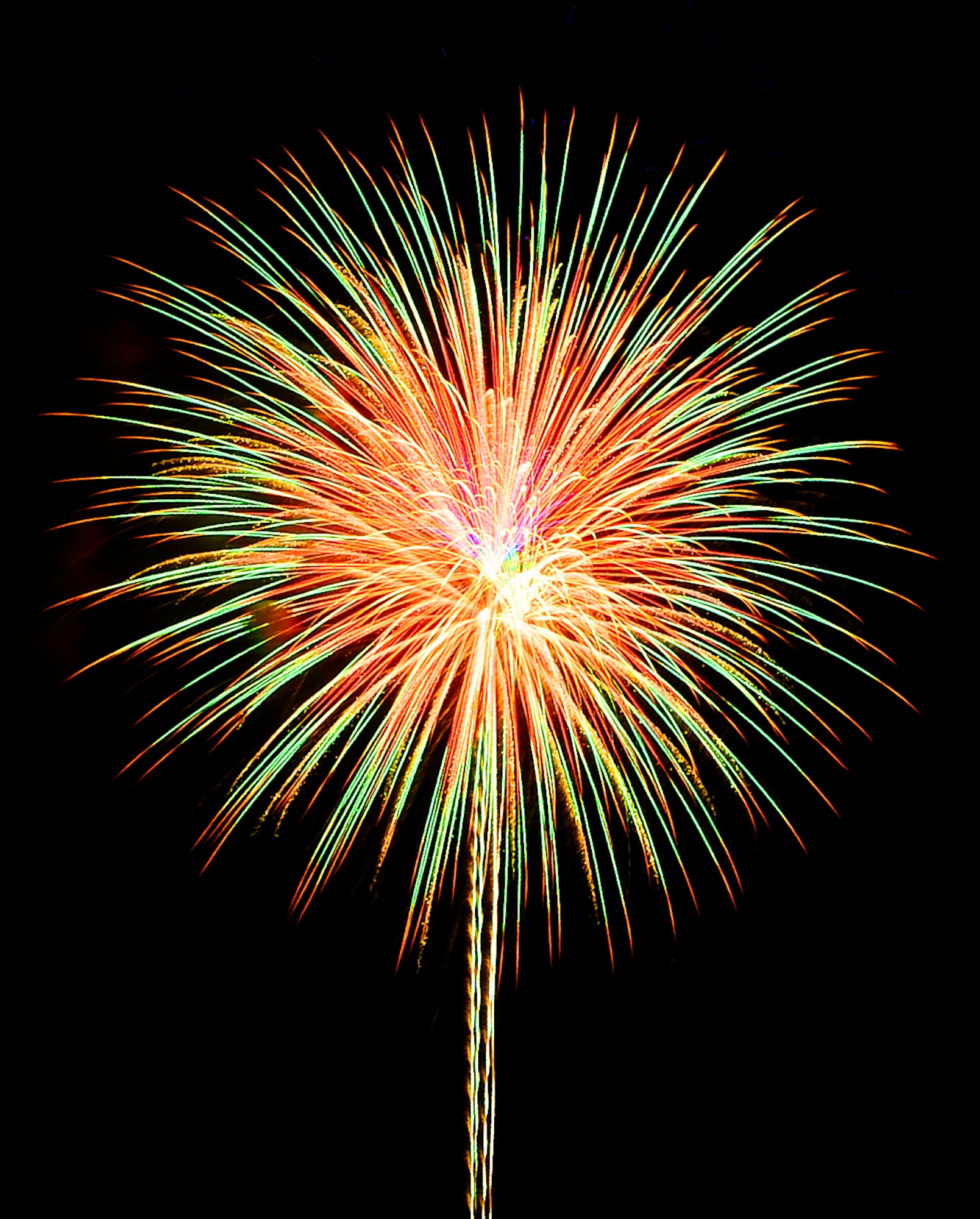 Fireworks entertain families during the Fourth of July celebation at Holloman Air Force Base, N.M., July 4. (U.S. Air Force Photo/Tech.Sgt. Chris Flahive)