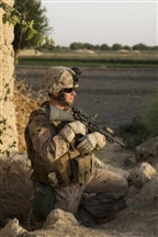 U.S. Marine Corps Sgt. Matthew Holzmann, with Headquarters and Service Company, 1st Battalion, 5th Marine Regiment, provides security during a patrol in Nawa District, Helmand province, Afghanistan, on July 3, 2009.  The Marines are deployed to support NATO's International Security Assistance Force and will participate in counterinsurgency operations. They will train and mentor Afghan National Security Forces to improve security and stability in the country.  