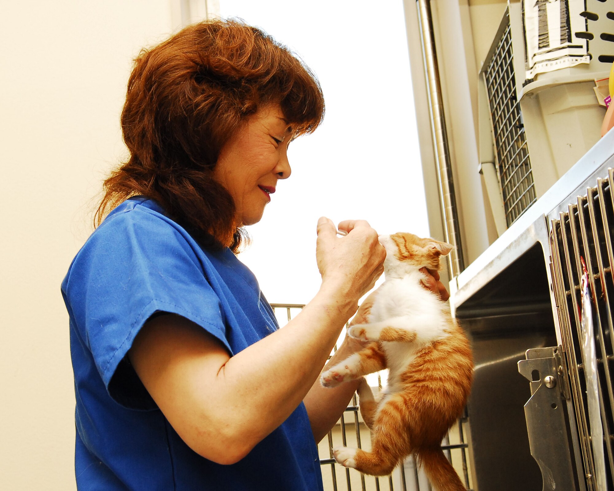 YOKOTA AIR BASE, Japan -- Mariko Yokozawa, 374th Force Support Squadron Pet Care Center manager, medicates a kitten at the center July 15. The Pet Care Center, available for all registered pets on Yokota, is open daily from 8:30 a.m. to noon and from 4 to 7 p.m. Customers who want to board their dog, must make sure the dog has received the DA2PPL-CV and a rabies vaccination within 12 months and the Bordetella (kennel cough) vaccine within five days prior to entering the kennel. (U.S. Air Force photo/Airman First Class Sean Martin)