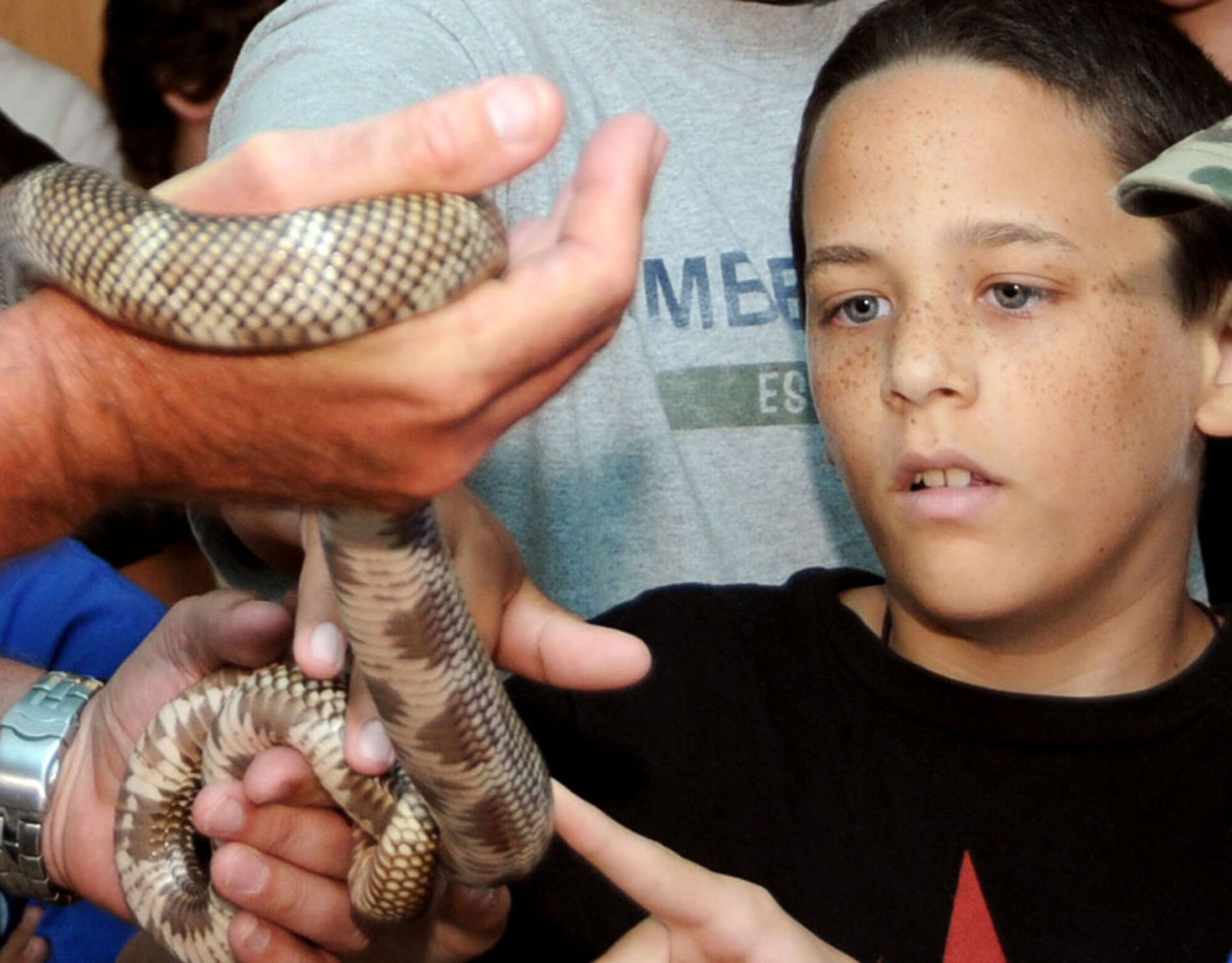 Austin English gets a close-up view of a blotched king snake.  Austin, 12,  is the child of Tech. Sgt. Michael and Ella English, 81st Engineering Installation Squadron.  Sergeant English deploys to Afghanistan next month.   (U.S. Air Force photo by Kemberly Groue)