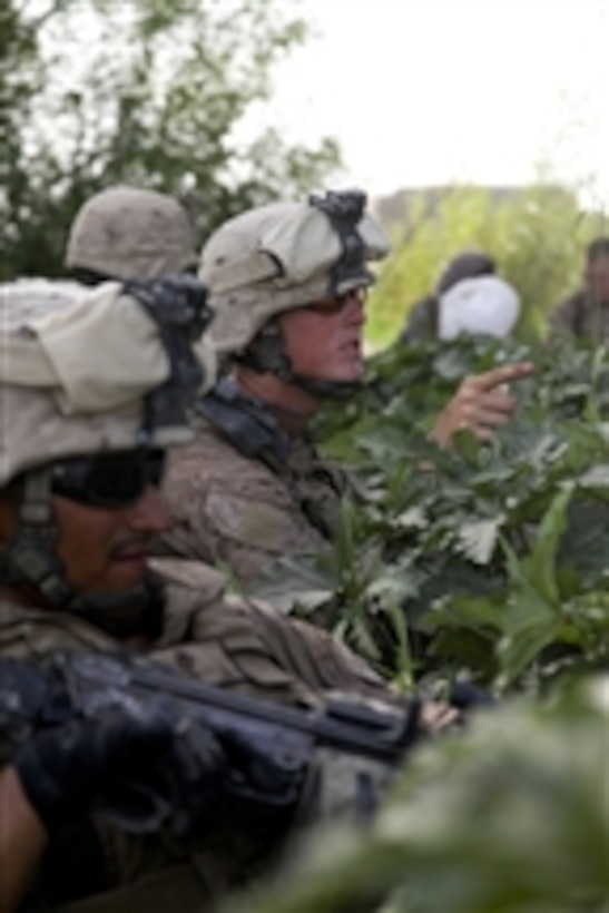 U.S. Marine Corps Lance Cpls. Gustavo Amaya (right) and Andrew Ellis, both with 1st Platoon, 1st Battalion, 5th Marine Regiment, suspect they are being observed by enemy forces during a key leader engagement in the Nawa District of Helmand province, Afghanistan, on July 11, 2009.  The Marines are deployed to support NATO's International Security Assistance Force and will participate in counter insurgency operations.  They will train and mentor Afghan National Security Forces to improve security and stability in the country.  