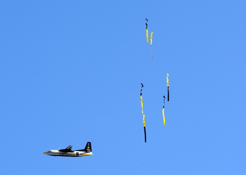 MINOT AIR FORCE BASE, ND -- The Golden Knights Parachute Team watch streamers fall at Northern Neighbor’s Day here, July 18. These streamers are weighted at one end to show the team which way the wind is blowing and from where they should jump to hit their target. Thousands of people from the base and local community turned out to watch the 2009 Northern Neighbors Day, which came through on its promise to wow spectators with amazing aerial maneuvers, nail-biting choreography, historic displays and much more.  (U.S. Air Force photo by Staff Sgt. Keith Ballard)