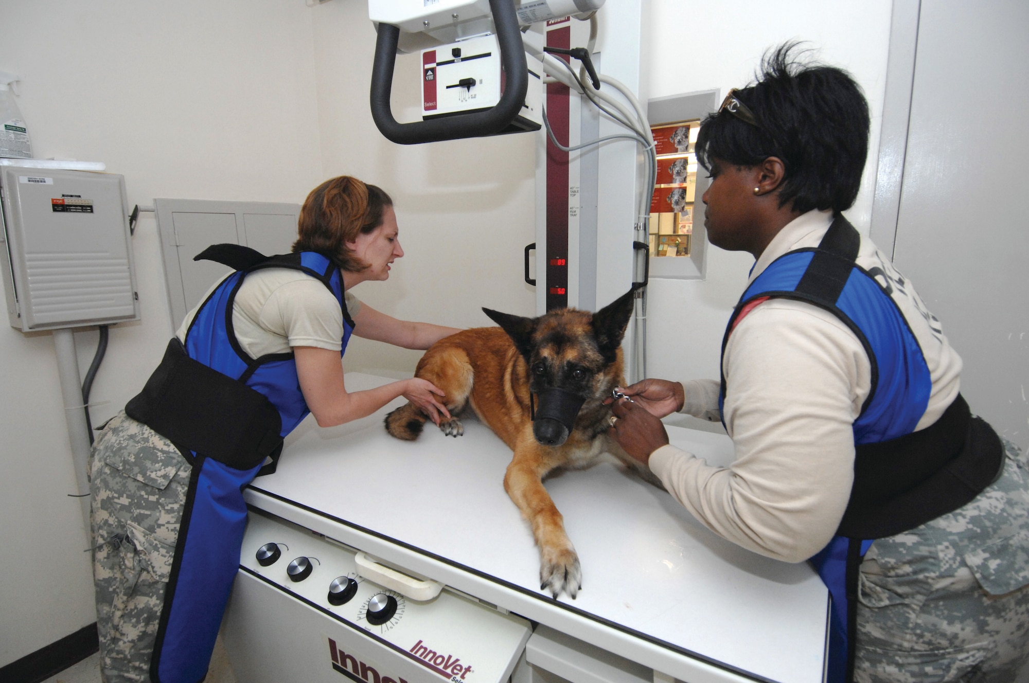 Fort Gordon, Ga. U.S. Army Sgt. Jennifer Breininger, left, a Veterinary Technician from Fort McPherson, Ga., and Catrina Parker, a K-9 Handler from the Department of Energy position “Dino” a military working dog for a chest x-ray on June 11. (U.S. Air Force photo by Senior Airman Erica J. Knight)