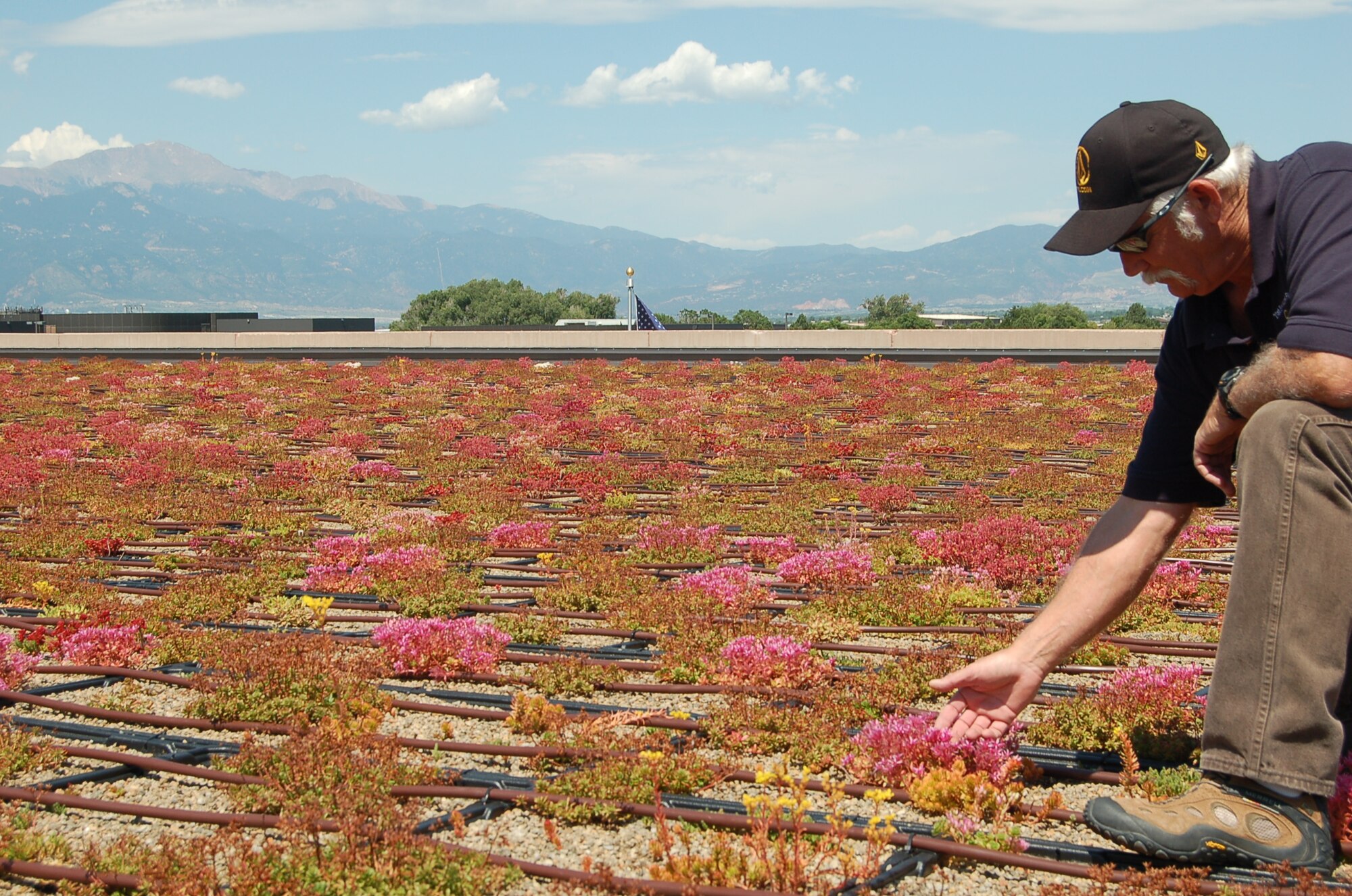 Phil Chase, 21st Civil Engineer Squadron, Asset Management Flight, pollution prevention, solid waste and hazardous materials program manager, monitors Sedum plants on the green rooftop of the 21st Space Wing headquarters building at Peterson Air Force Base. The green roof spans 19,000 square feet, and heat is redirected through the plants instead of the rooftop, cooling the inside of the building. The building's roof is about 67 degrees cooler than the 21st Mission Support Group building on base. (Air Force photo by Thea Skinner)