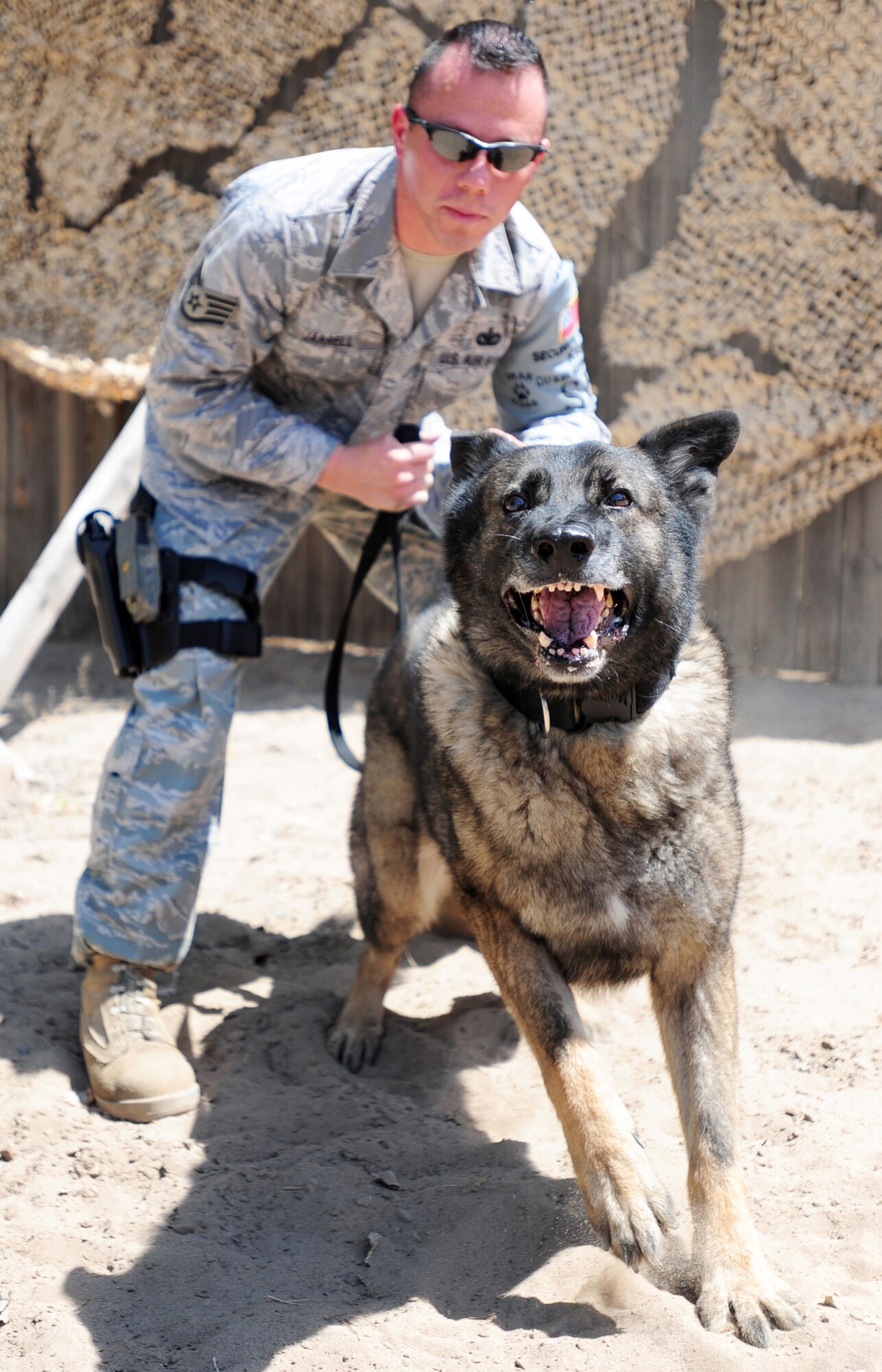 TRANSIT CENTER AT MANAS, Kyrgyzstan -- Staff Sgt. Christopher Jarrel, 376th Expeditionary Security Forces Squadron military working dog handler, keeps control of Uran at the Transit Center at Manas on July 24, 2009. Sergeant Jarrel and Uran complete sweeps of aircraft, vehicles and borders for any suspicious items at Manas.  Sergeant Jarrel and Uran are deployed from the 19th Airlift Wing Security Forces Squadron at Little Rock Air Force Base, Ark. and are originally from Little Rock, Ark. (U.S. Air Force photo/Senior Airman Steele Britton)