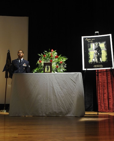 Charleston AFB held a memorial service Charleston AFB July 24 for Cigan, a military working dog who died of lyphoma at the age of 10. Cigan was assigned to Charleston AFB in 2001 and was recently training with his handler, Staff Sgt. Justin Langley, for a deployment to Afghanistan. The memorial service was followed by a procession to the burial site led by the Patriot Guard Riders at the Military Working Dog Kennel on base. (U.S. Air Force photo/Airman 1st Class Alex Hoachlander)