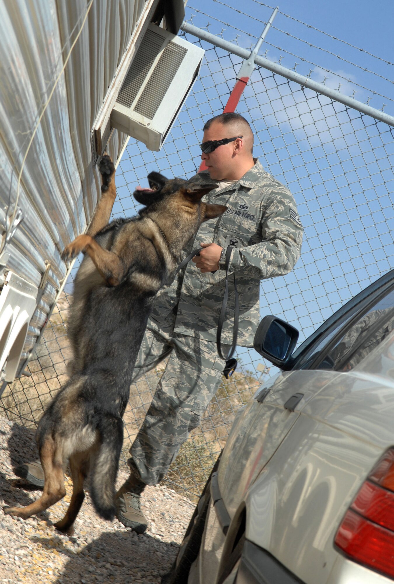 Staff Sgt. Felipe Alvarado, 99th Security Forces military working dog handler, and Pike, his canine partner, take part in an exercise to test the team's proficiency in detection training in a limited amount of time at Nellis Air Force Base, Nev., June 26. Training exercises such as this  are proven critical and life saving in real-world situations. (U.S. Air Force photo by Jacquey Ann Julio)

 
