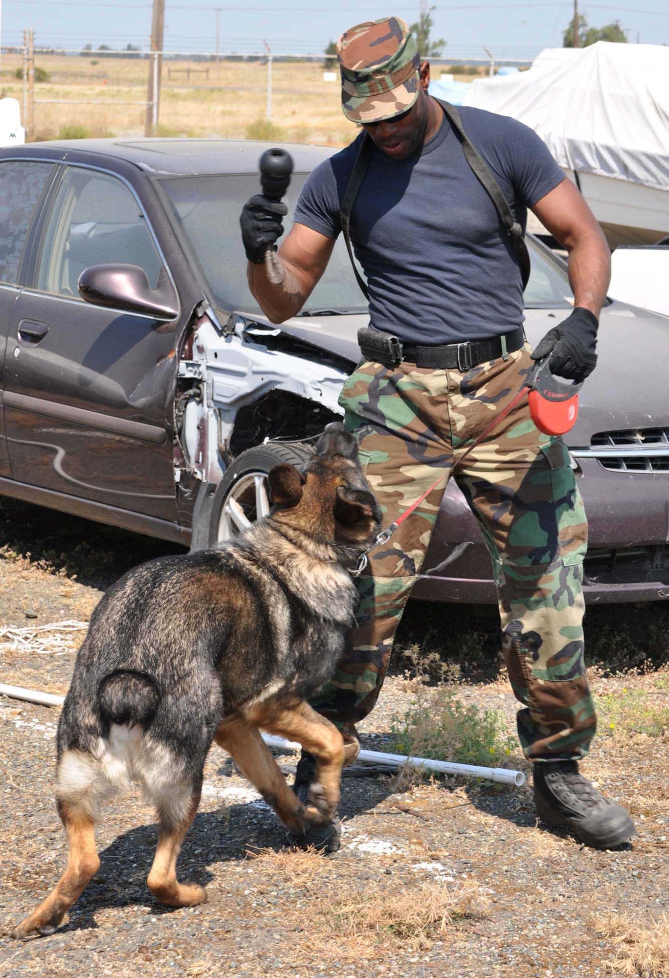 Staff Sgt. Curtis Lewis, 9th Security Forces Squadron military working dog handler, rewards Jimmy, 9th SFS military working dog, with his chew toy during explosives detection training July 30. Sergeant Lewis uses the toy during training as a way to reward the dog upon detection of an explosive. (Photo by Senior Airman Fowler)