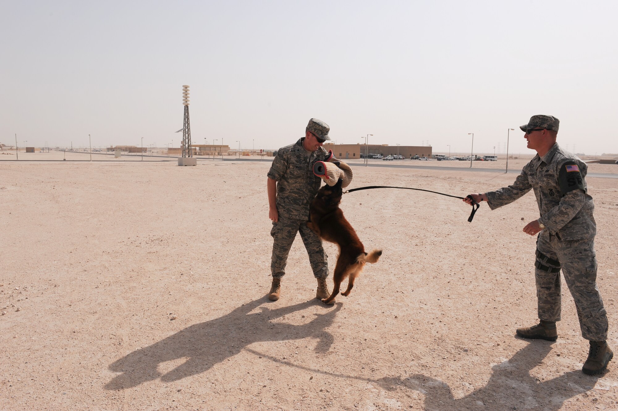 Tech. Sgt. Chad Eagan, 379th Expeditionary Security Forces Squadron military working dog handler, commands his working dog, Suk, to attack Col. Paul Schultz, 379th Air Expeditionary Wing vice commander, during a controlled aggression training exercise, July 21, in Southwest Asia. Military working dogs are used to maintain security in a deployed operating environment and support missions throughout Operations Iraqi and Enduring Freedom. (U.S. Air Force Photo by Staff Sgt. Robert Barney)