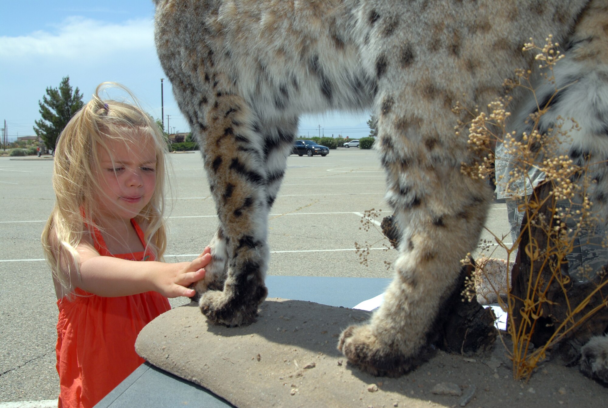 Alyssa Palmer, 4, touches a bobcat display during the Team Edwards 101 Critical Days of Summer kickoff May 29 at the Base Exchange parking lot. Hosted by the 31st Test and Evaluation Squadron, the annual kickoff aims to provide summer safety awareness to Team Edwards. (U.S. Air Force photo/Senior Airman Julius Delos Reyes)