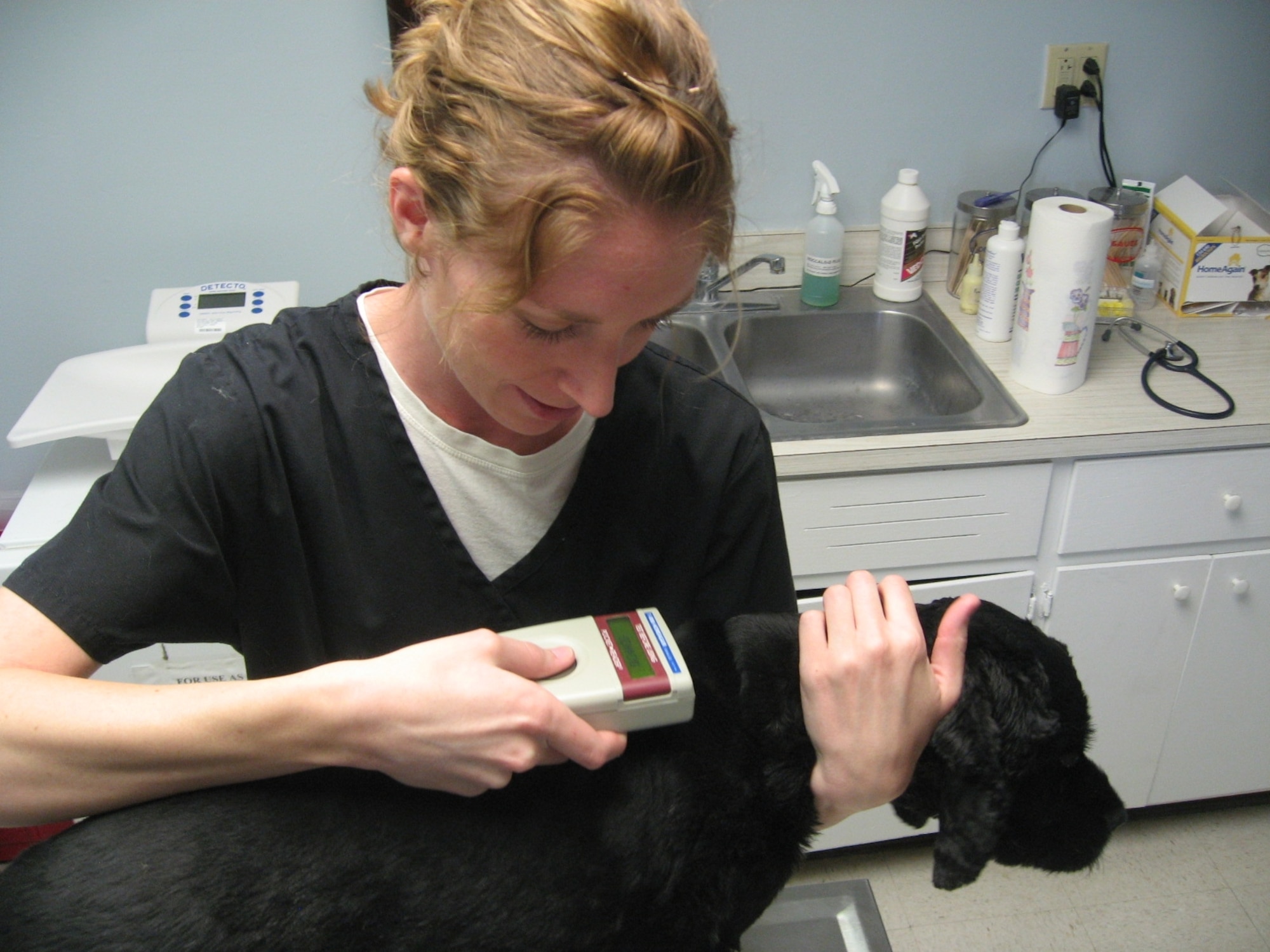 Cassidy McClain, facility manager and animal health technician scans Kerwin, a two year-old Cocker Spaniel, for a microchip at the Nellis Veterinary Treatment Facility.  (photo by Capt. Ashley Norris)

