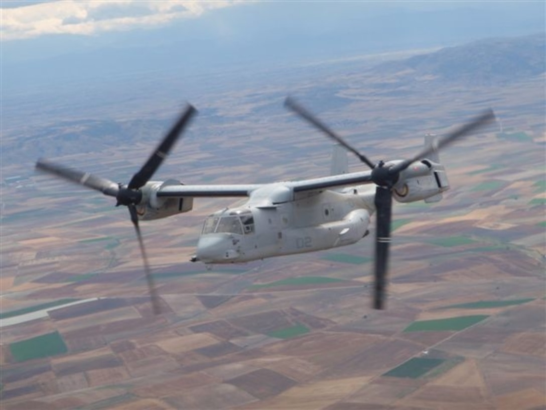 Osprey over Greece