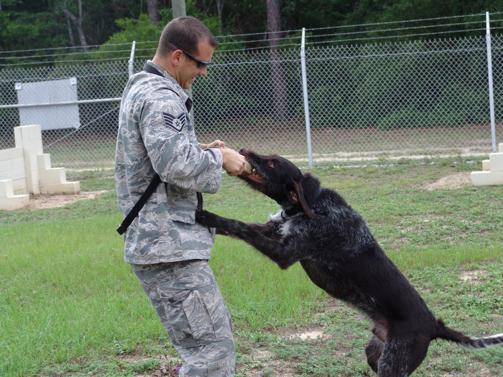 Staff Sgt. Leonard Anderson, 96th Security Forces Squadron,runs through exercises with Kanjer, the newest breed of military working dog at Eglin - a German Wire-haired Pointer. (U.S. Air Force photo/ Minty Knighton.)
