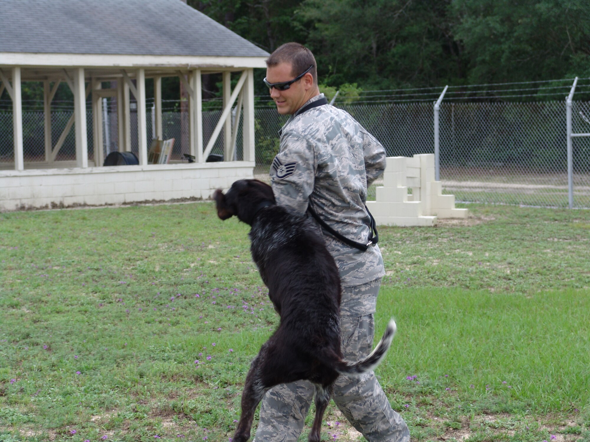 Staff Sgt. Leonard Anderson, 96th Security Forces Squadron,runs through exercises with Kanjer, the newest breed of military working dog at Eglin - a German Wire-haired Pointer. (U.S. Air Force photo/ Minty Knighton.)
